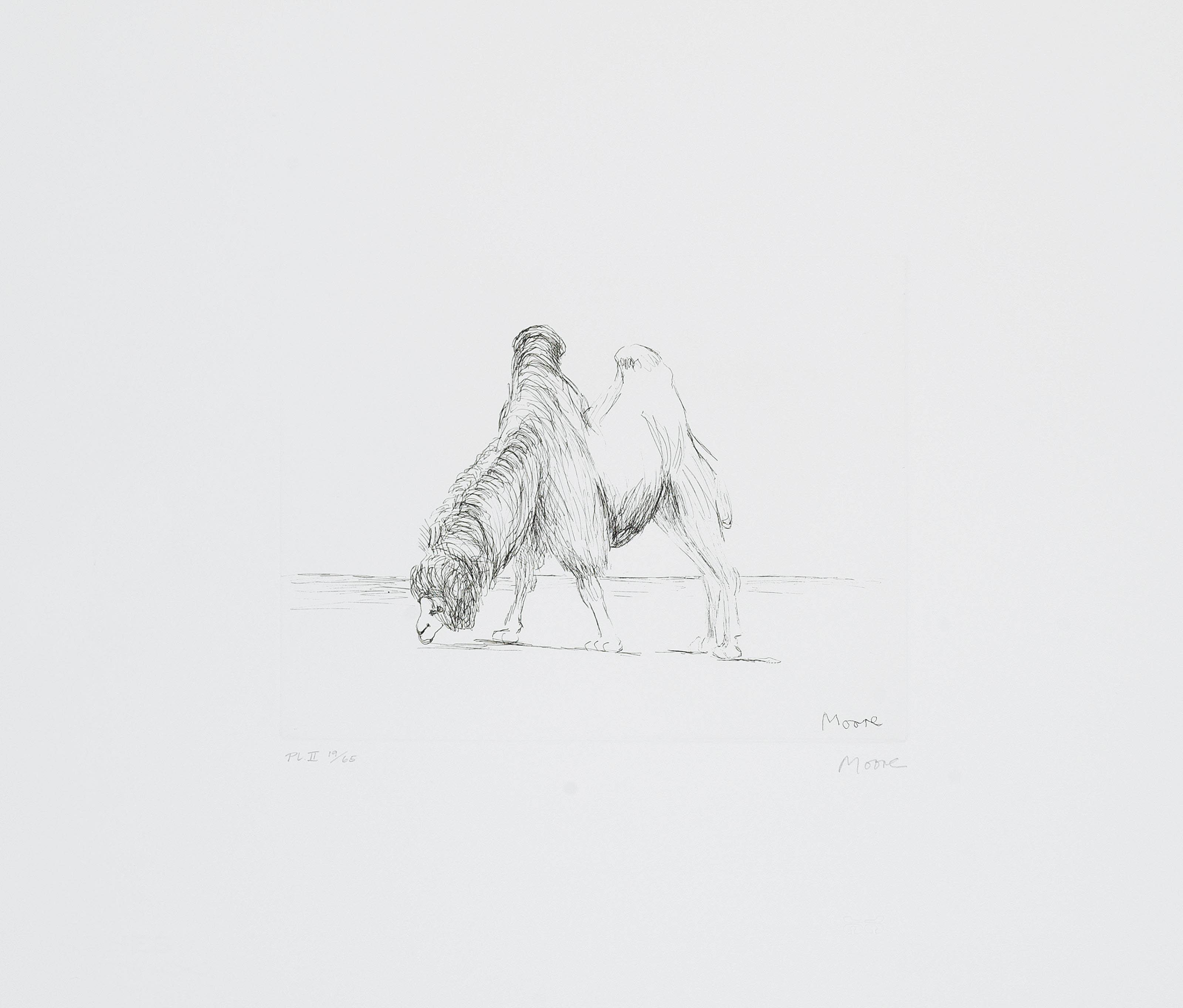 Henry Moore — Животные в зоопарке (с. 631-648), изображение 3