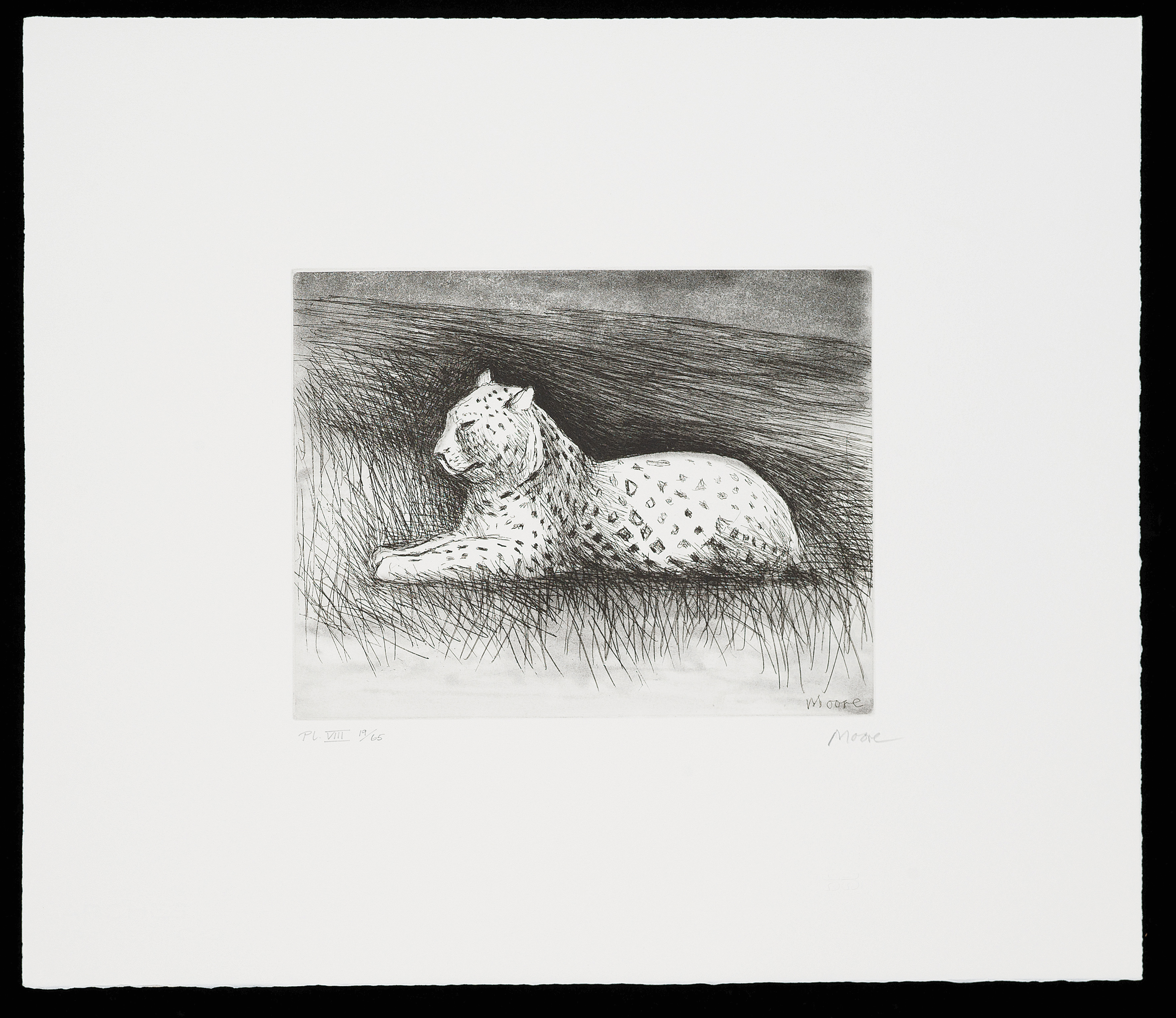 Henry Moore — Животные в зоопарке, изображение 5
