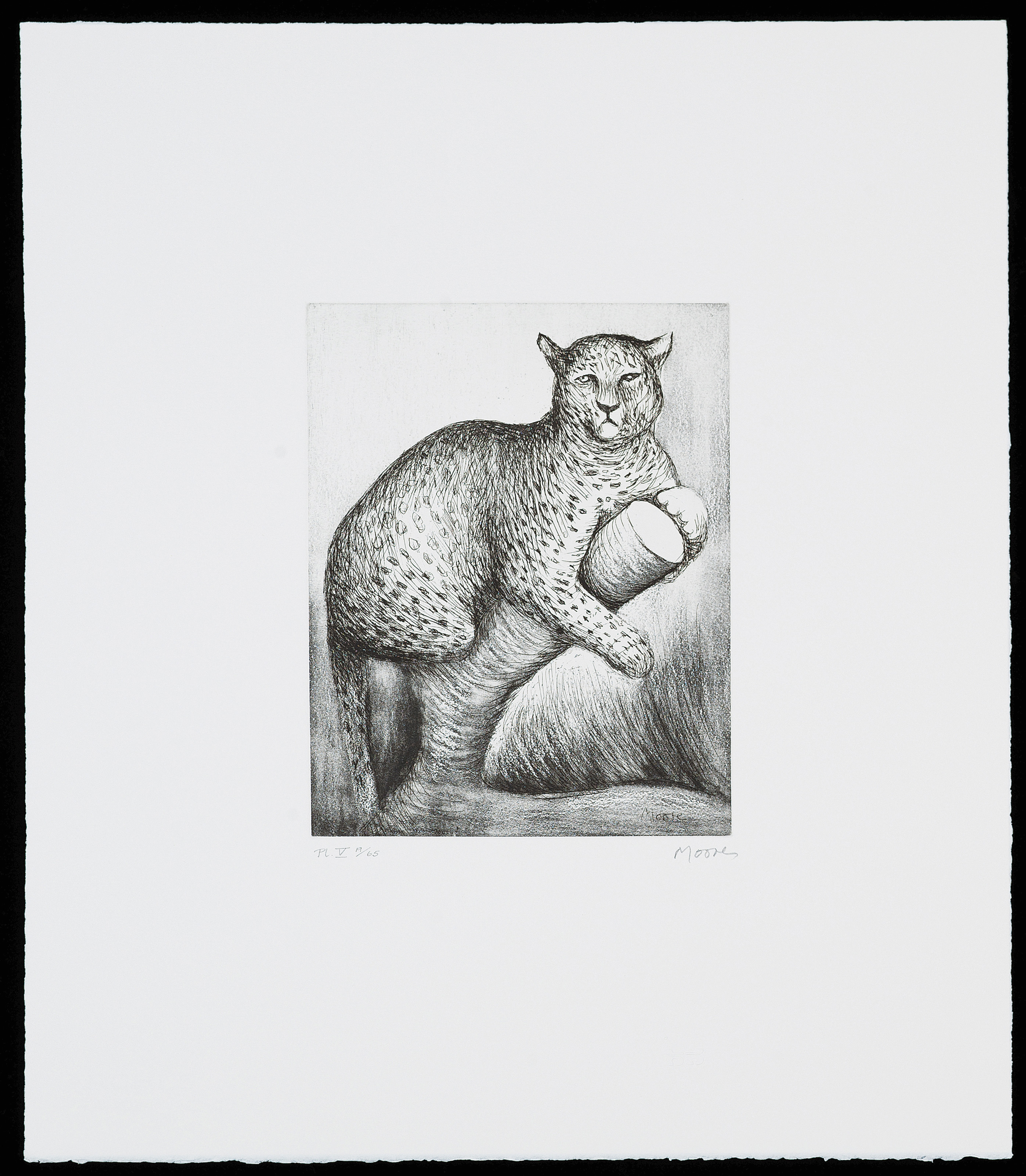 Henry Moore — Животные в зоопарке, изображение 8