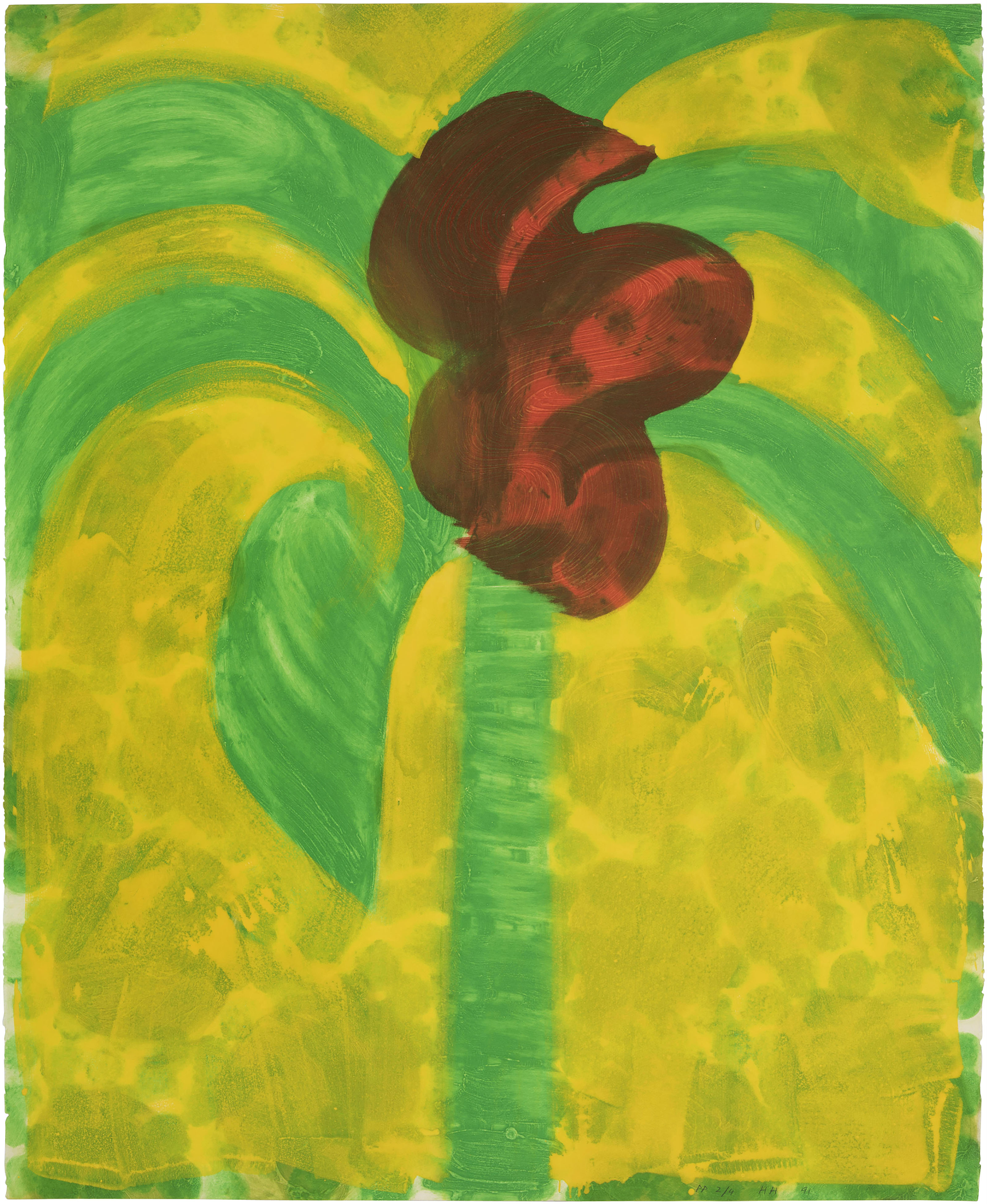 Howard Hodgkin — Цветущая пальма