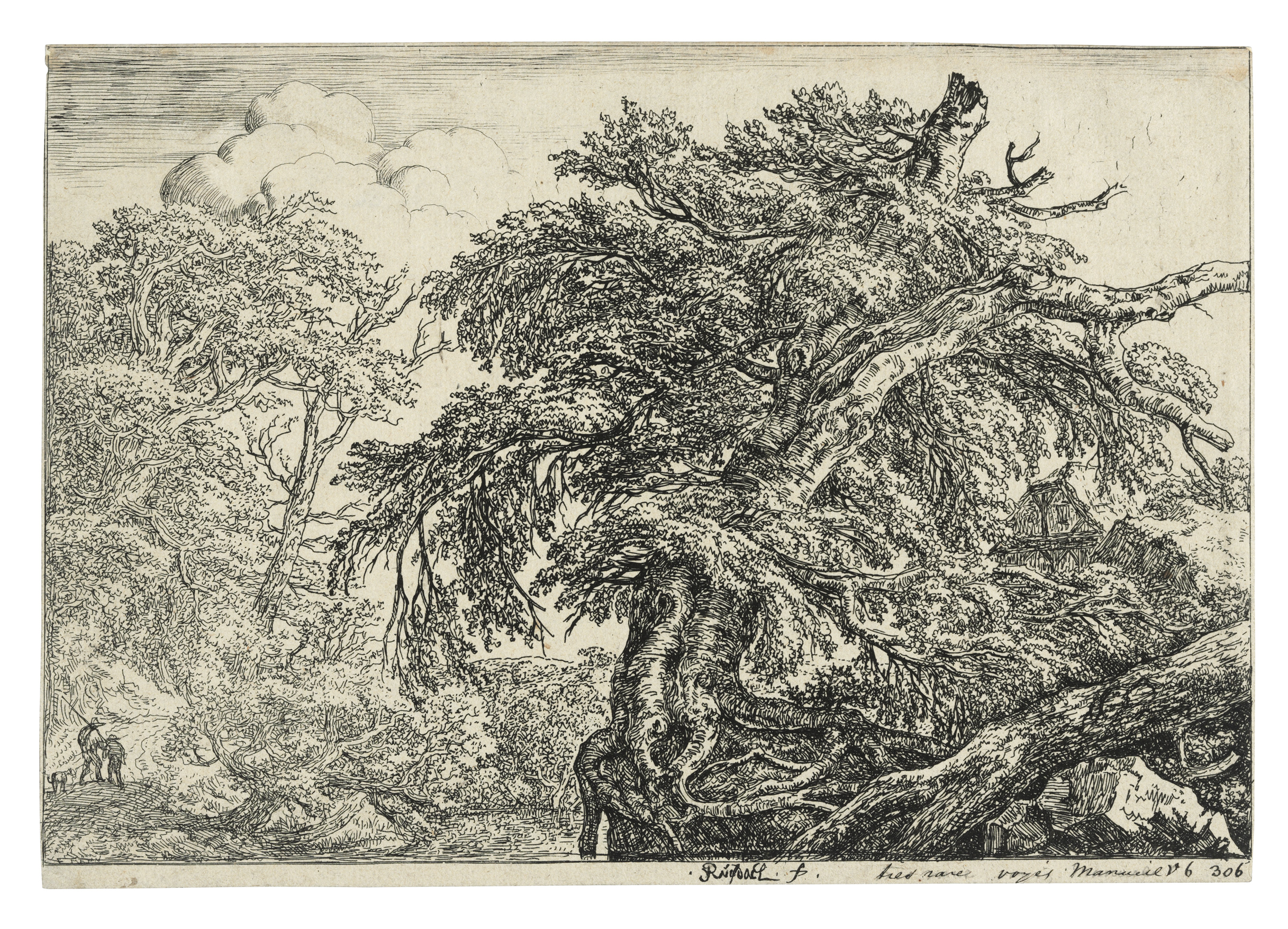 Jacob Van Ruisdael — Группа из трех гравюр