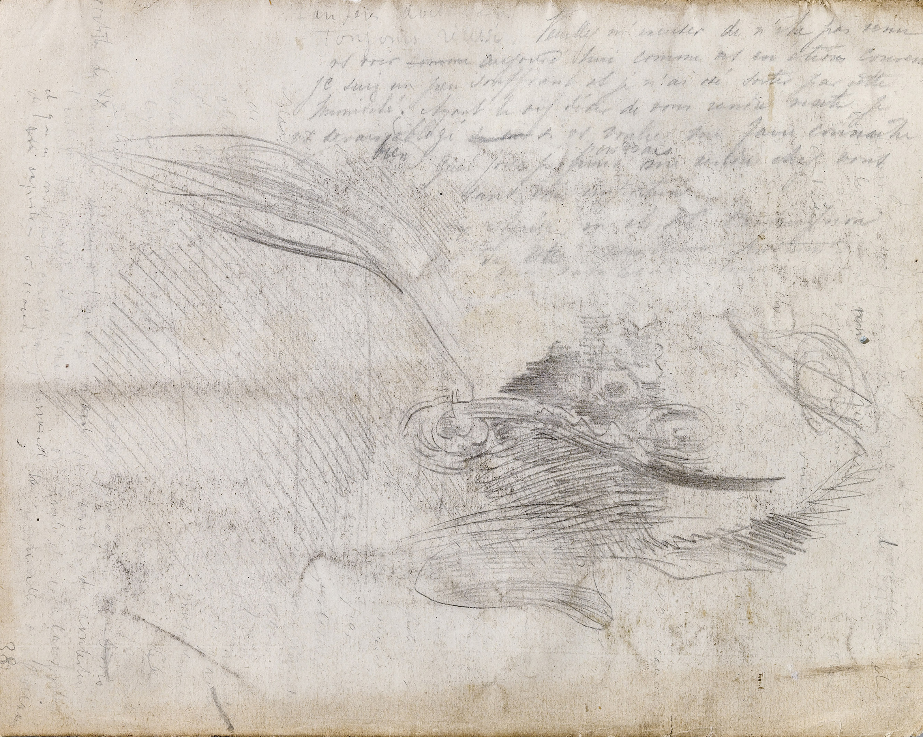 James Ensor — Этюд о портрете матери, изображение 2