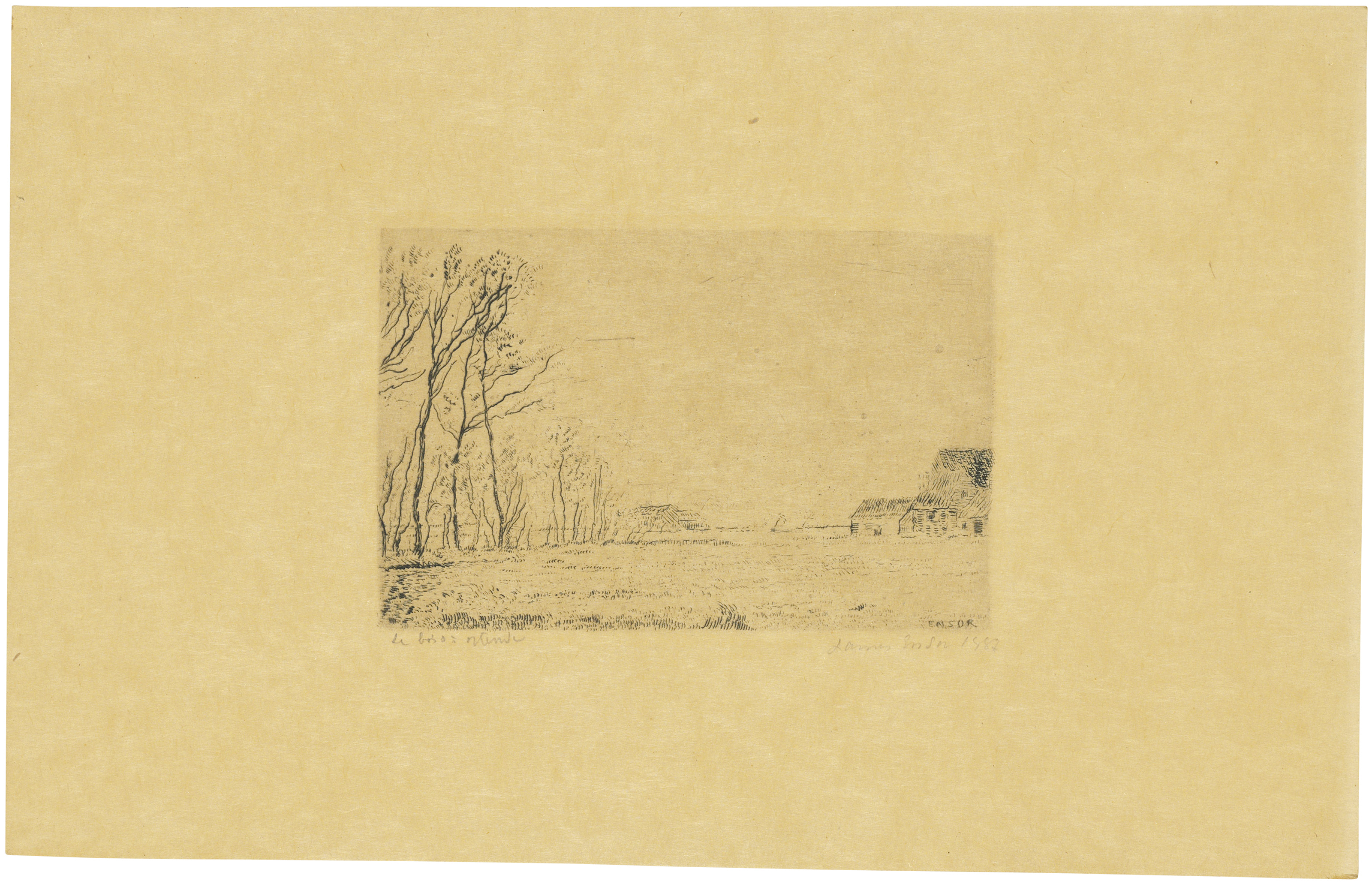 James Ensor — Лизьер-дю-пти-Буа, Остенде (Опушка небольшого леса, Остенде)