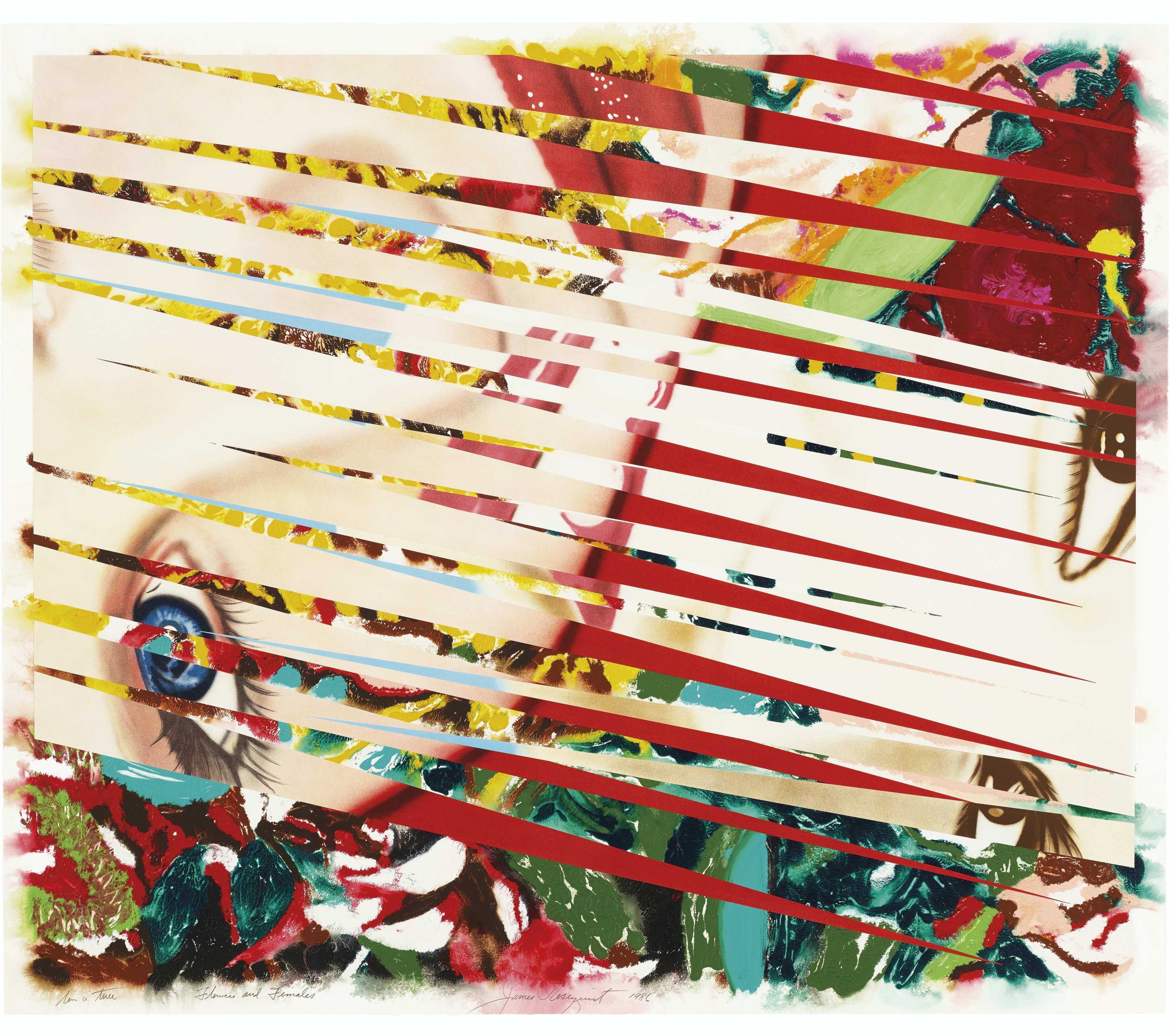 James Rosenquist — Цветы и самки, изображение 2
