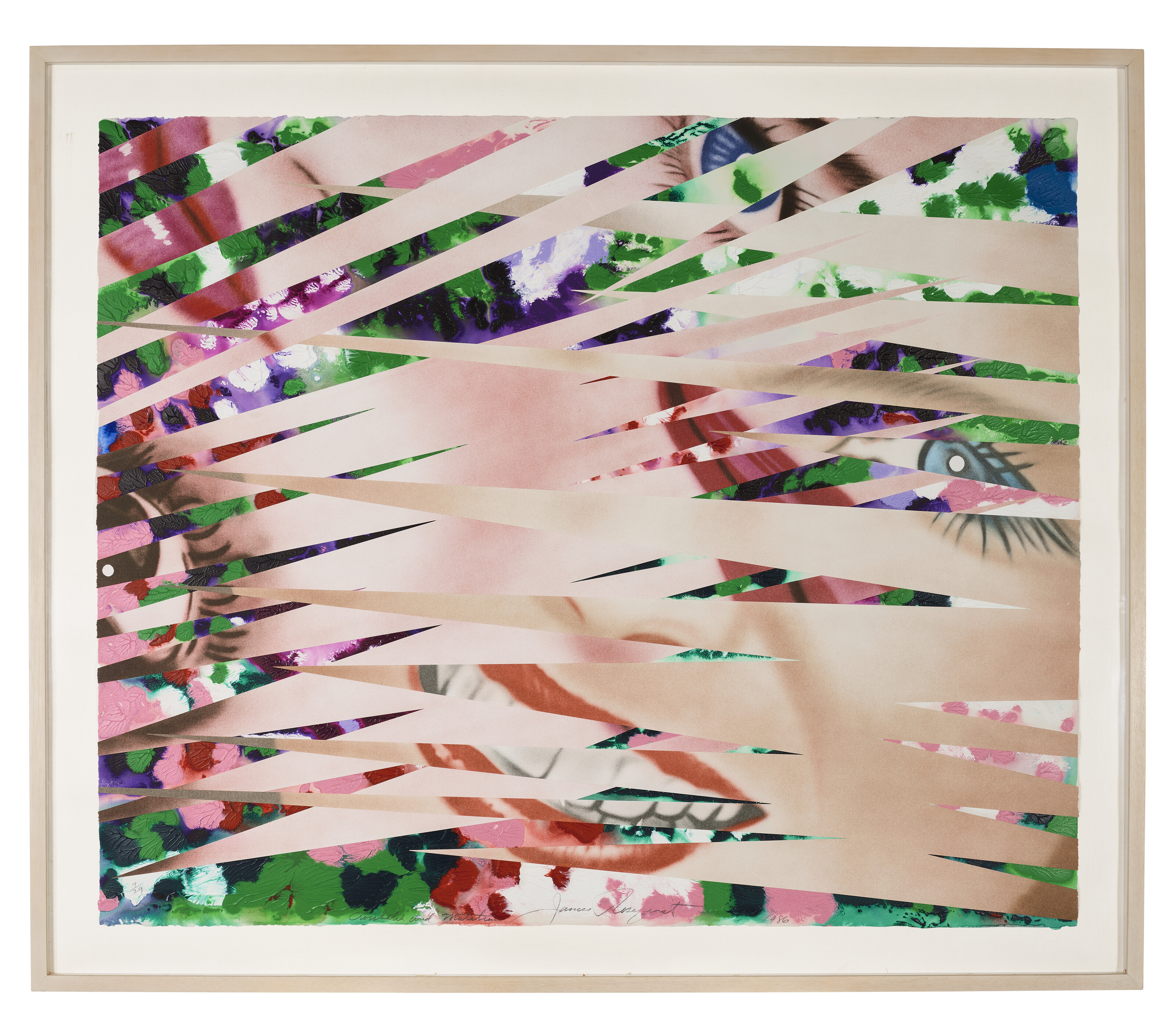 James Rosenquist — Перекрестная штриховка и мутации, из книги "Секреты гвоздик", изображение 2