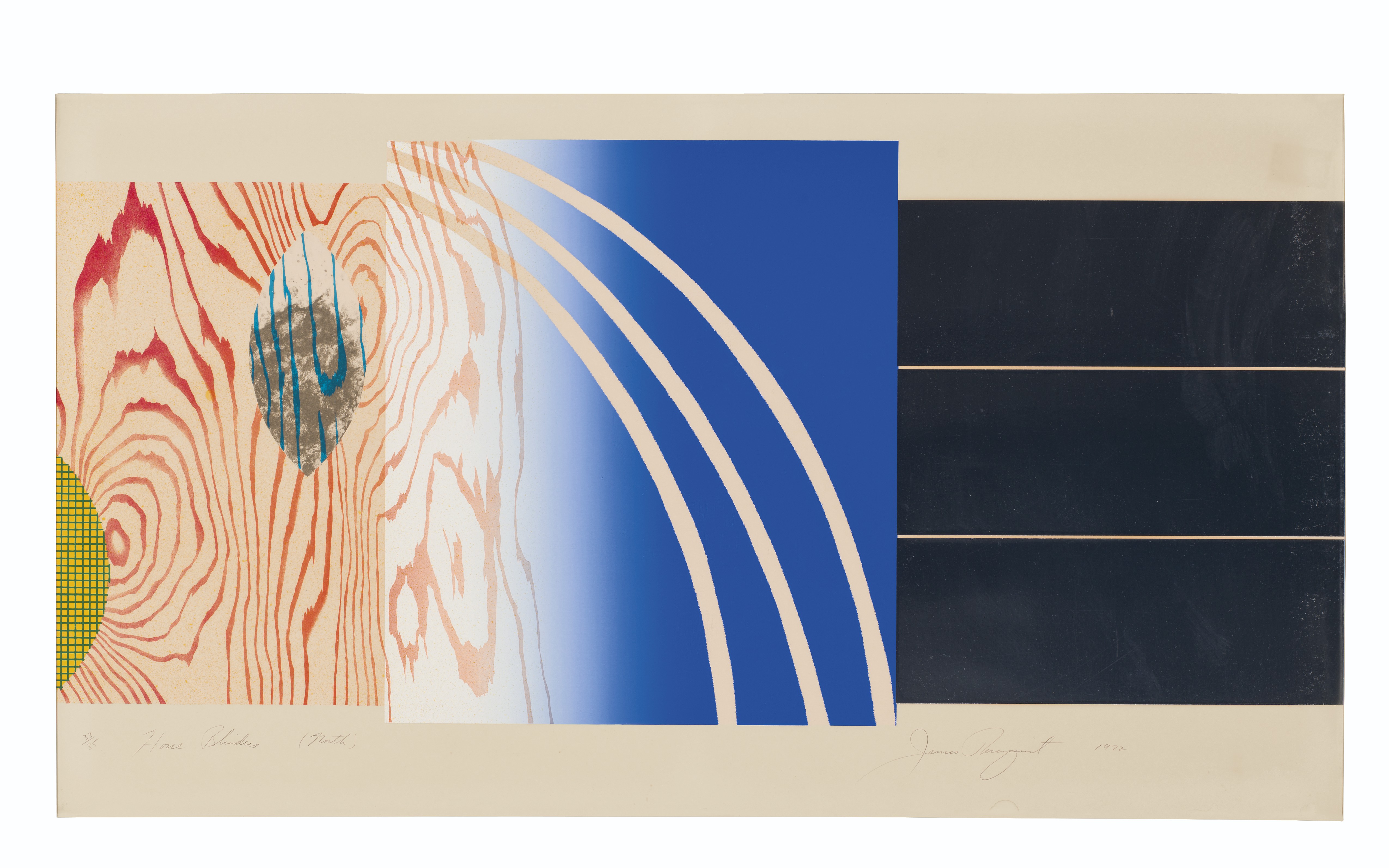 James Rosenquist — Лошадиные шоры, изображение 3