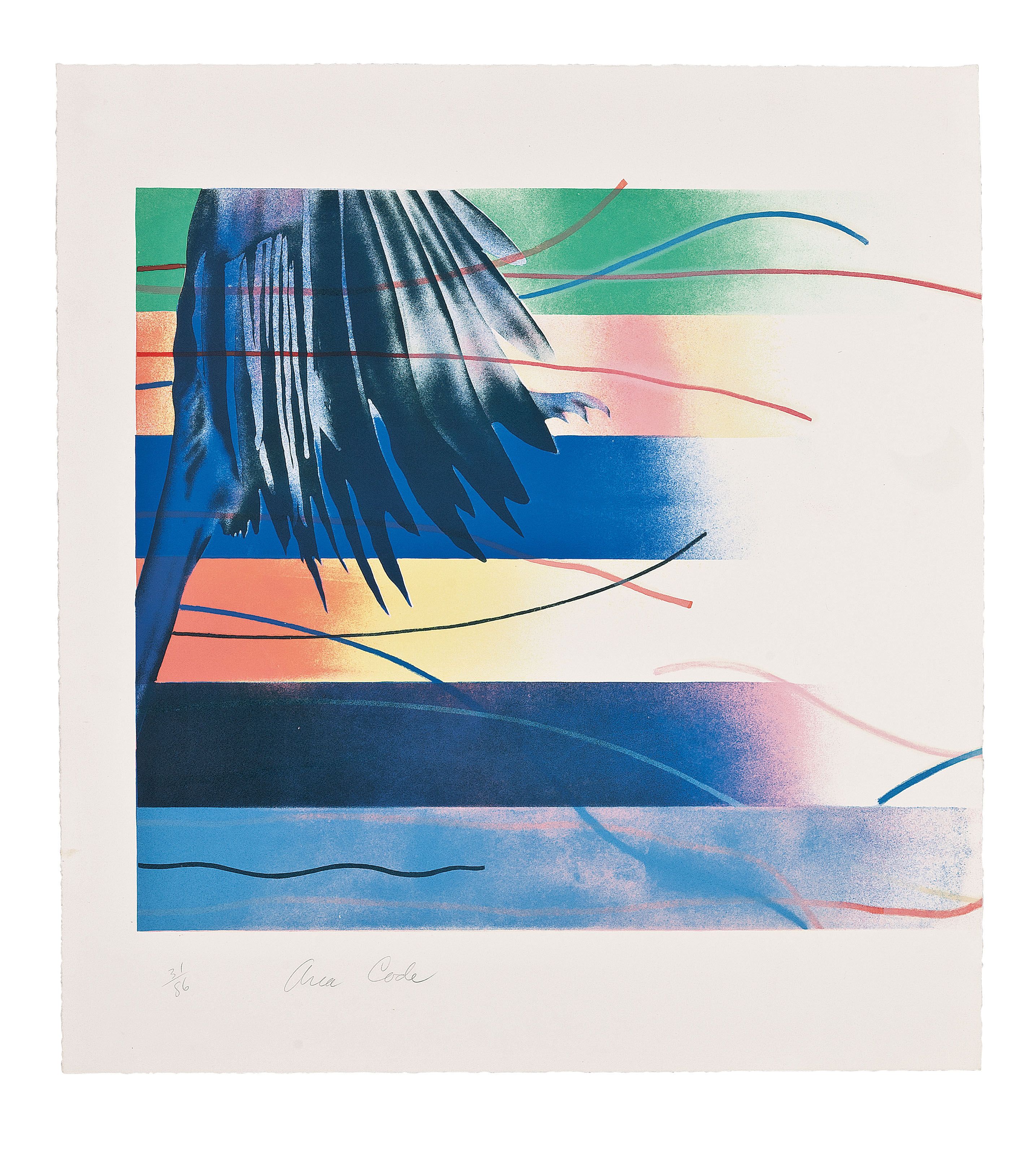 James Rosenquist — код региона, изображение 2