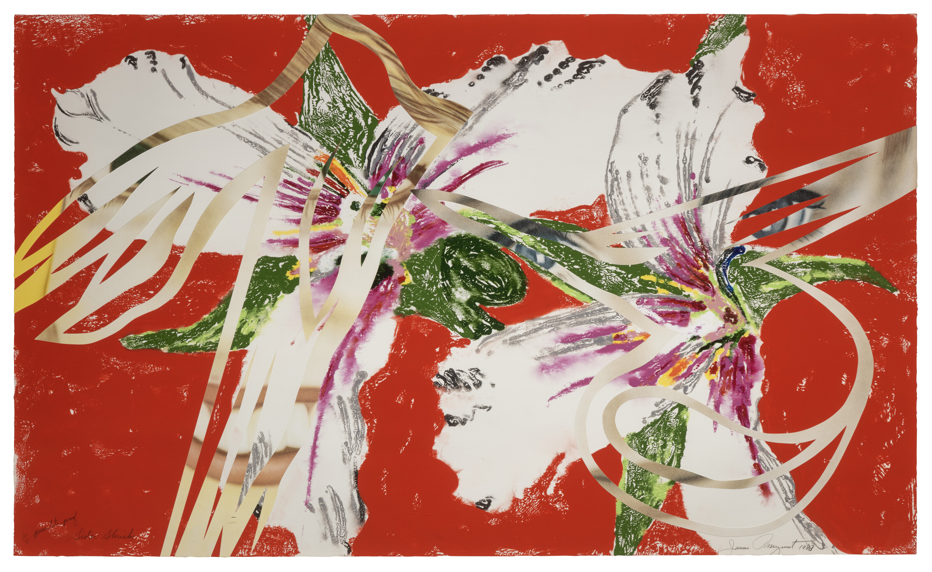 James Rosenquist — Сестра визжит, из: Секреты в гвоздиках