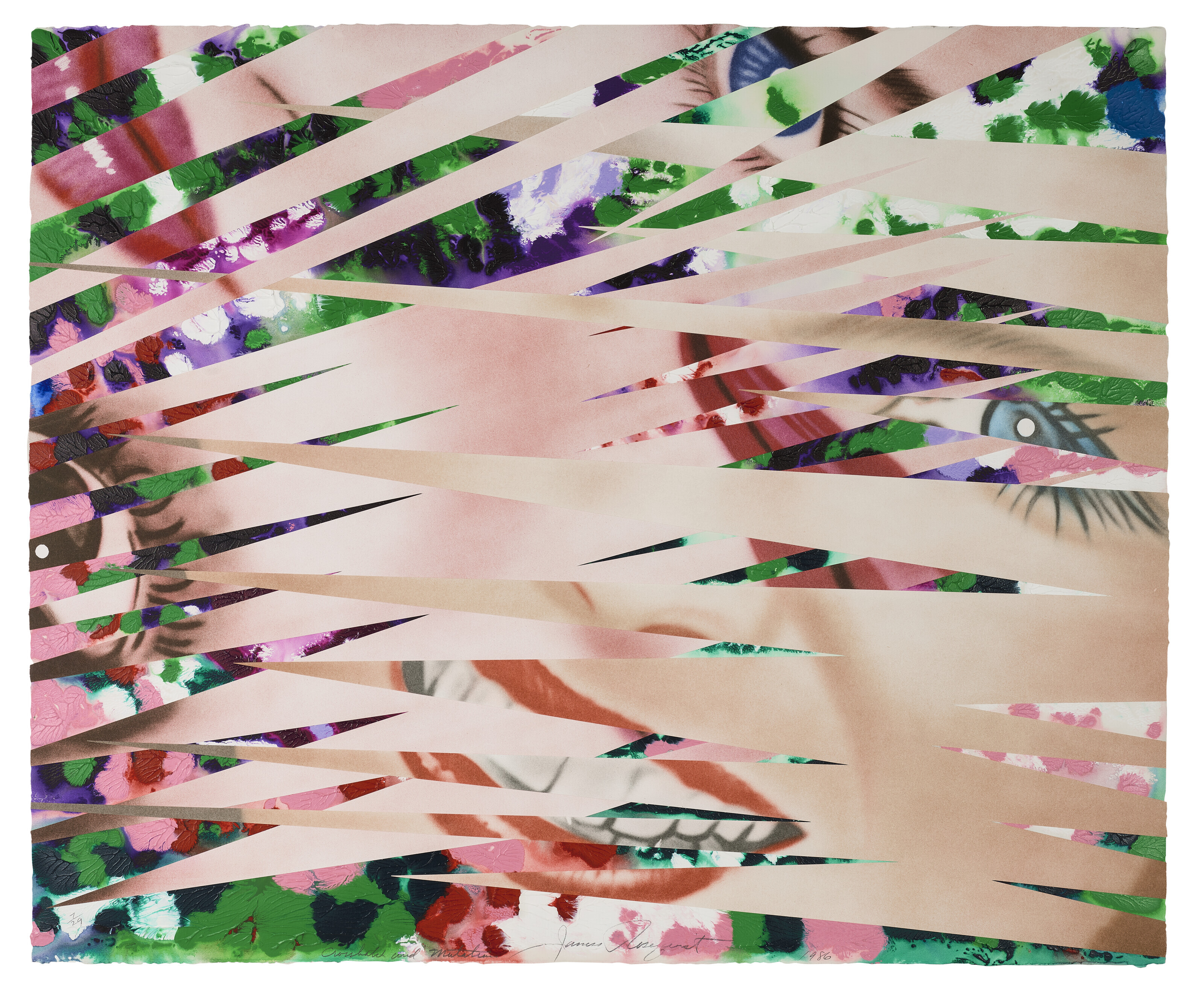 James Rosenquist — Перекрестная заштриховка и мутации