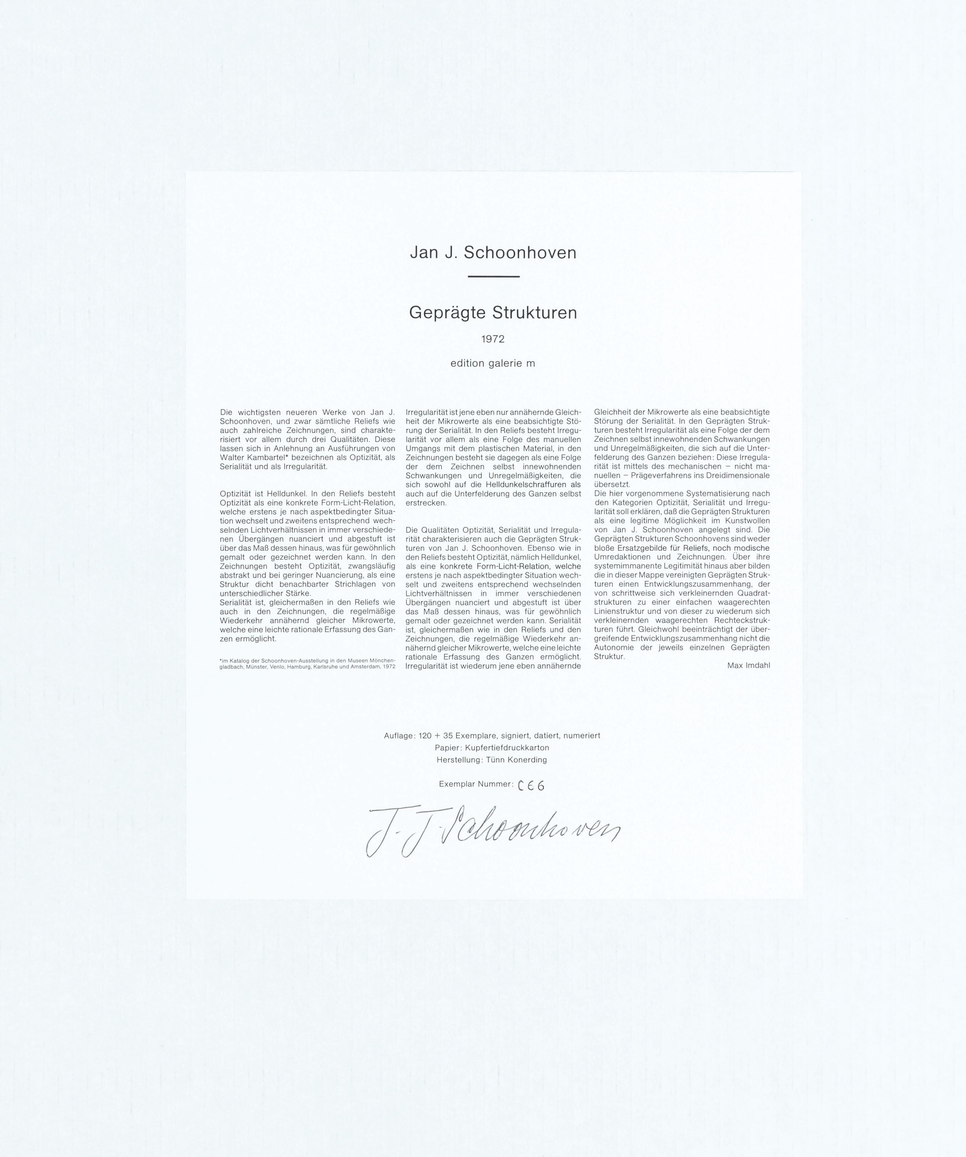 Jan Schoonhoven — Продуманная структура, изображение 2