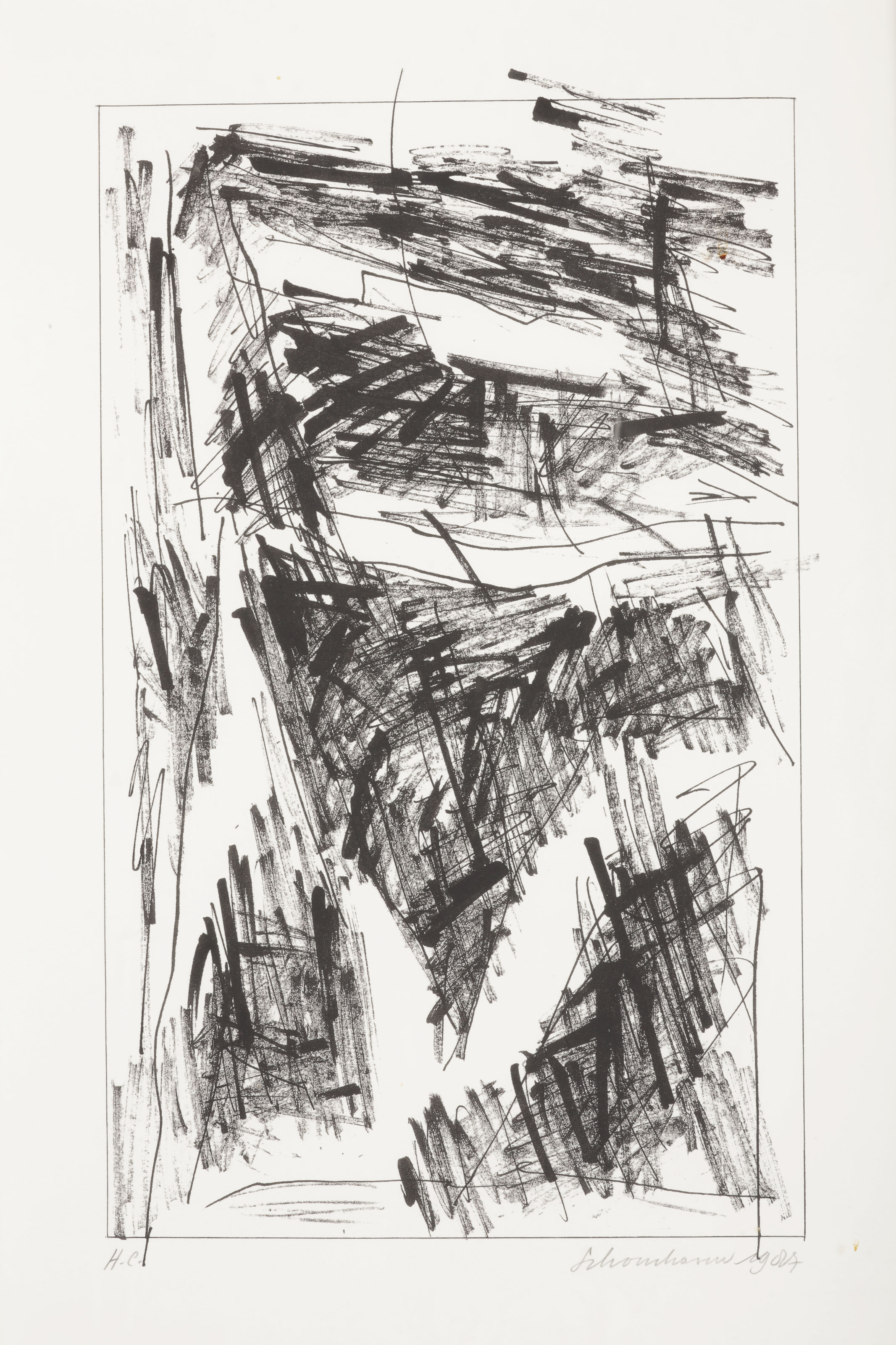Jan Schoonhoven — Формирование, изображение 2