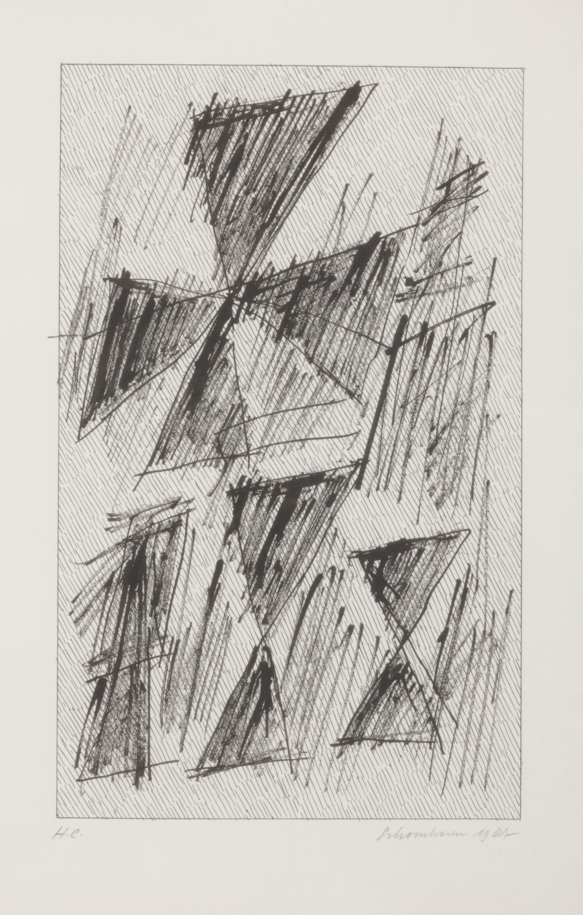 Jan Schoonhoven — Формирование, изображение 11