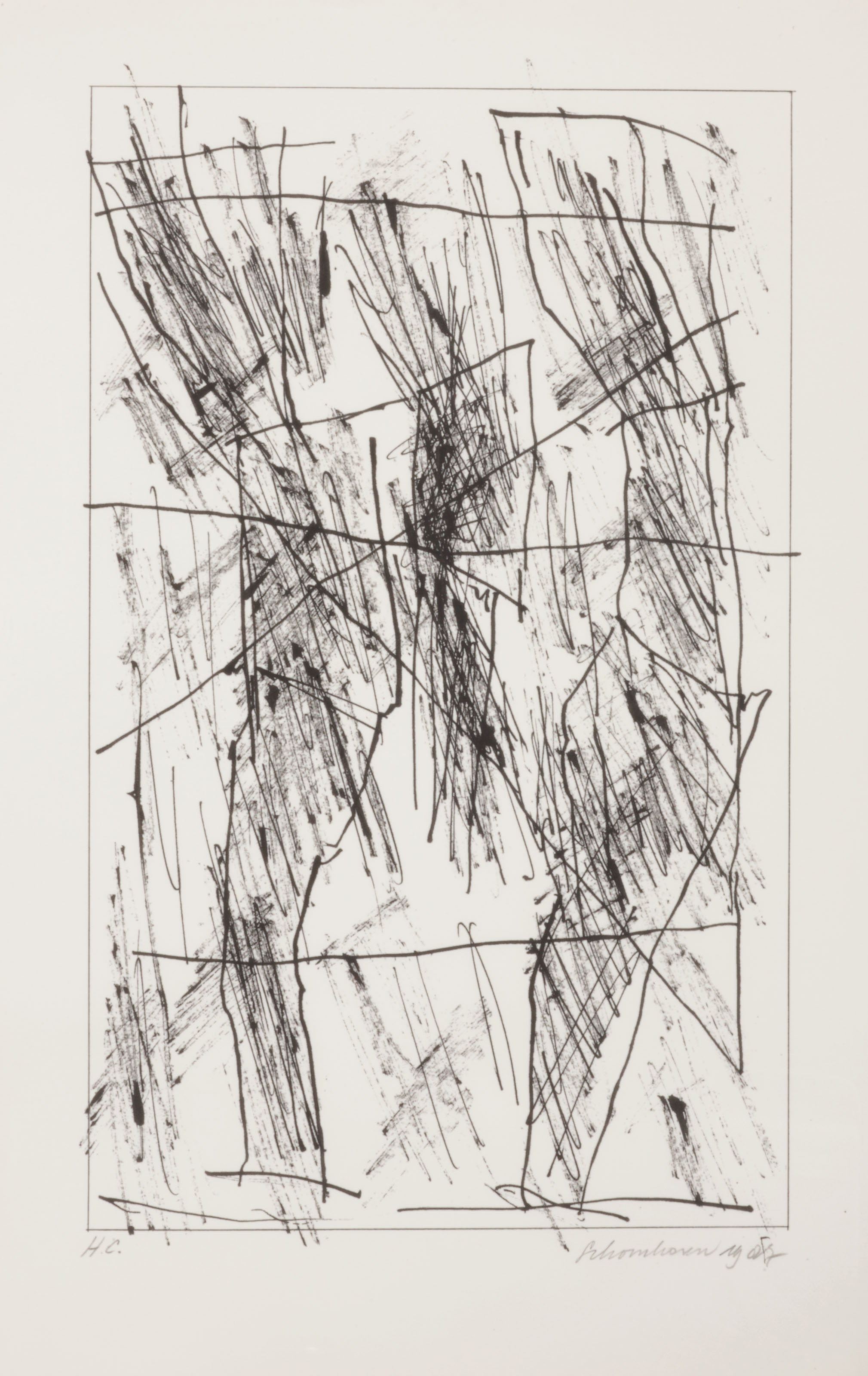Jan Schoonhoven — Формирование, изображение 3