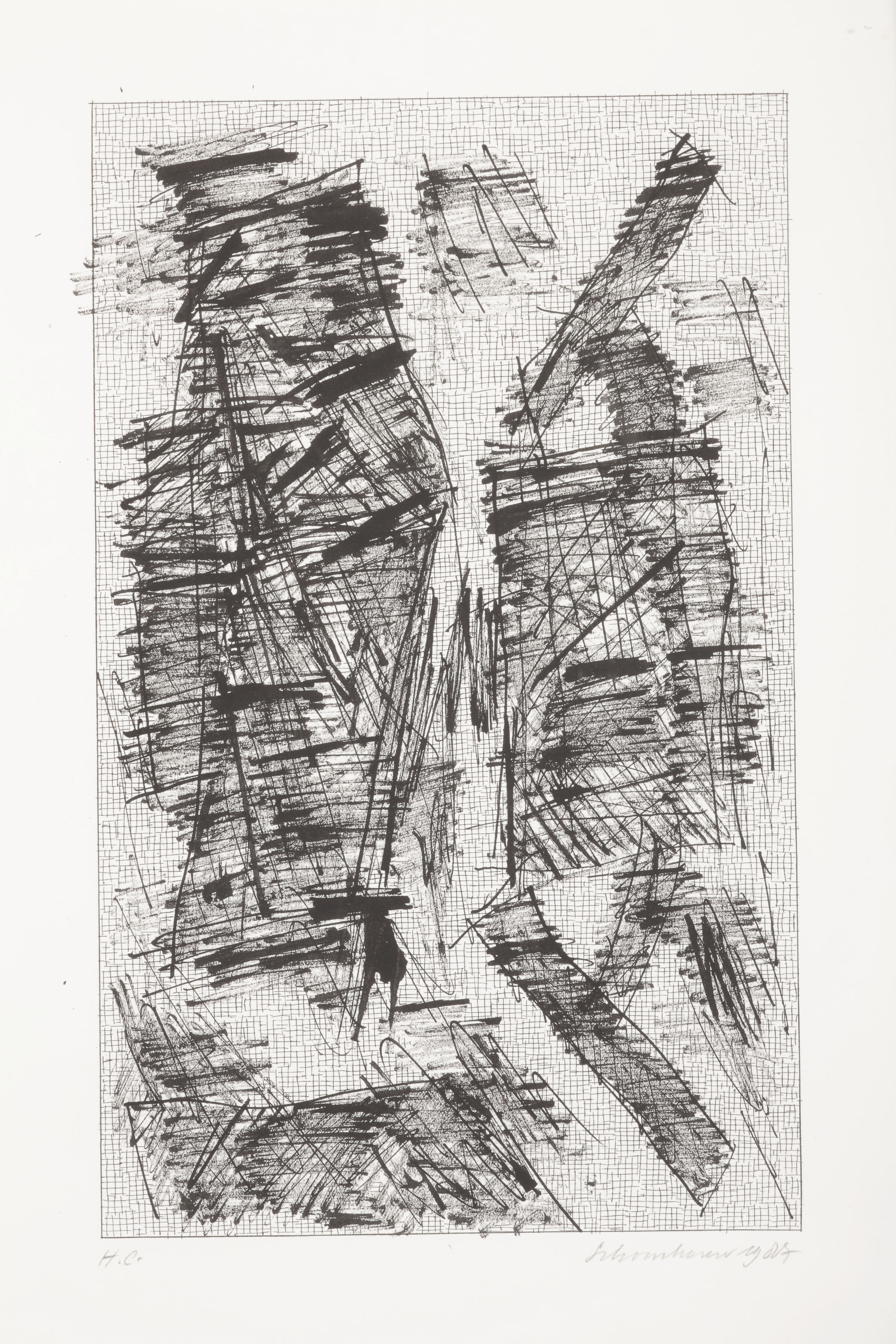 Jan Schoonhoven — Формирование, изображение 4