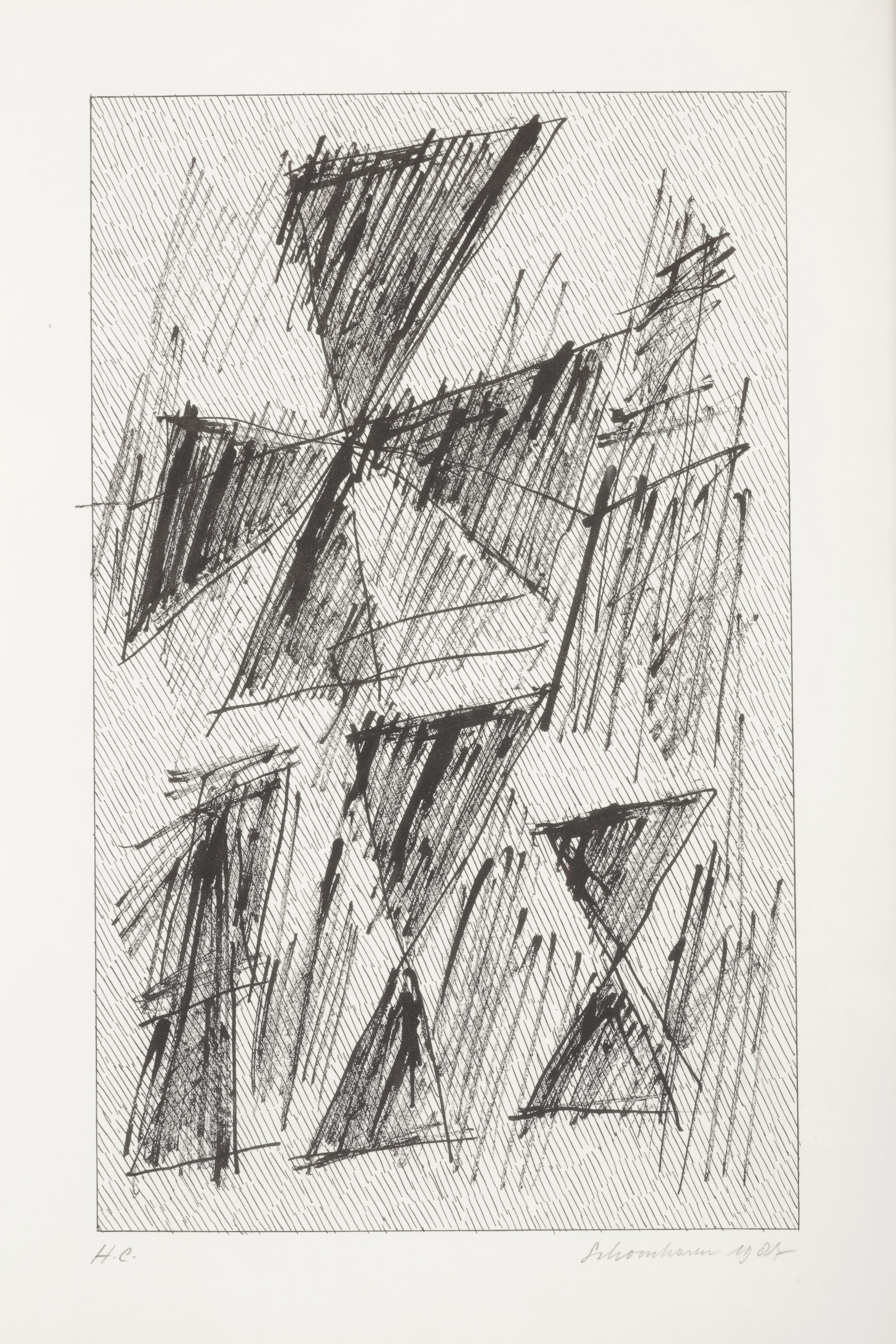 Jan Schoonhoven — Формирование, изображение 5