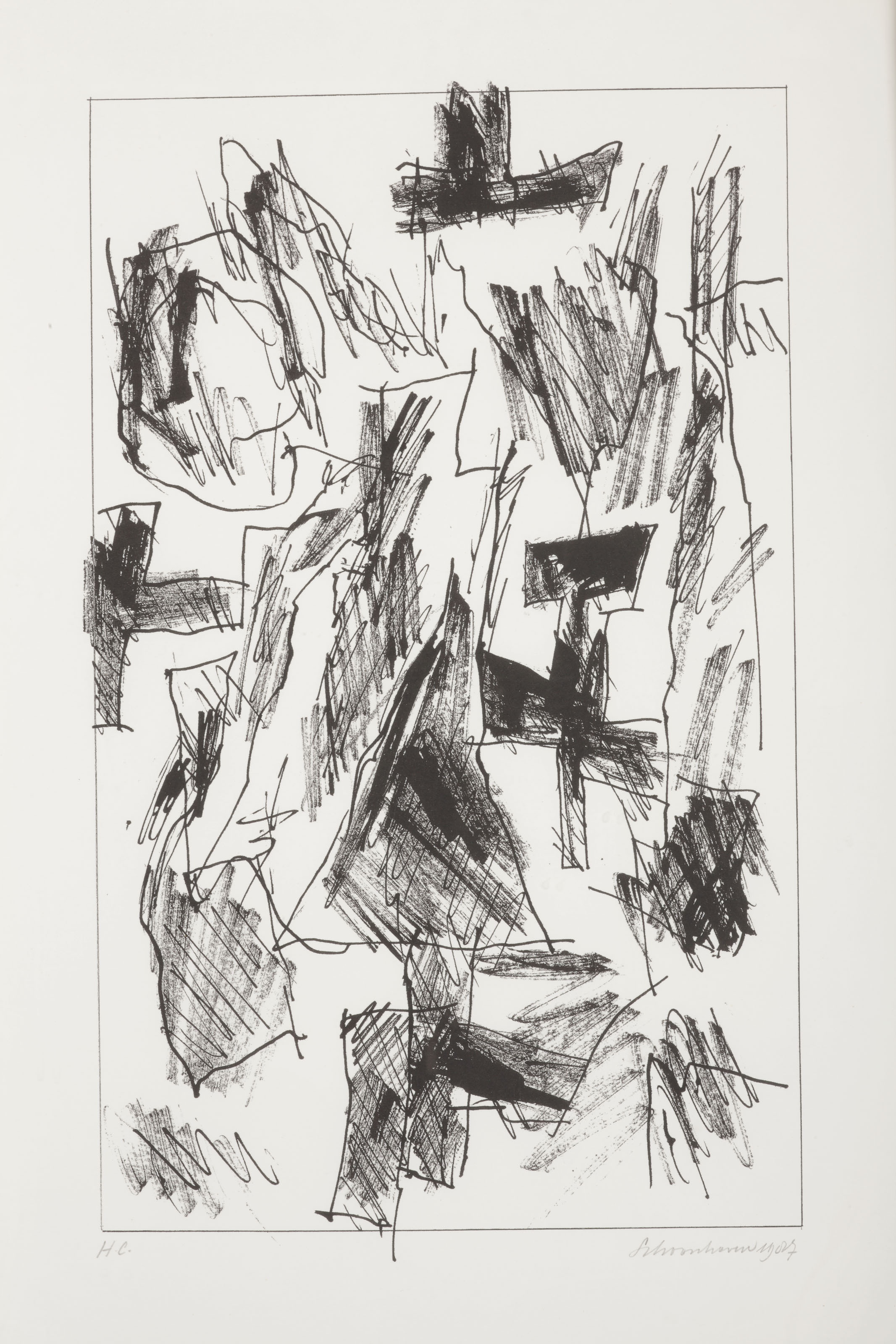 Jan Schoonhoven — Формирование, изображение 7