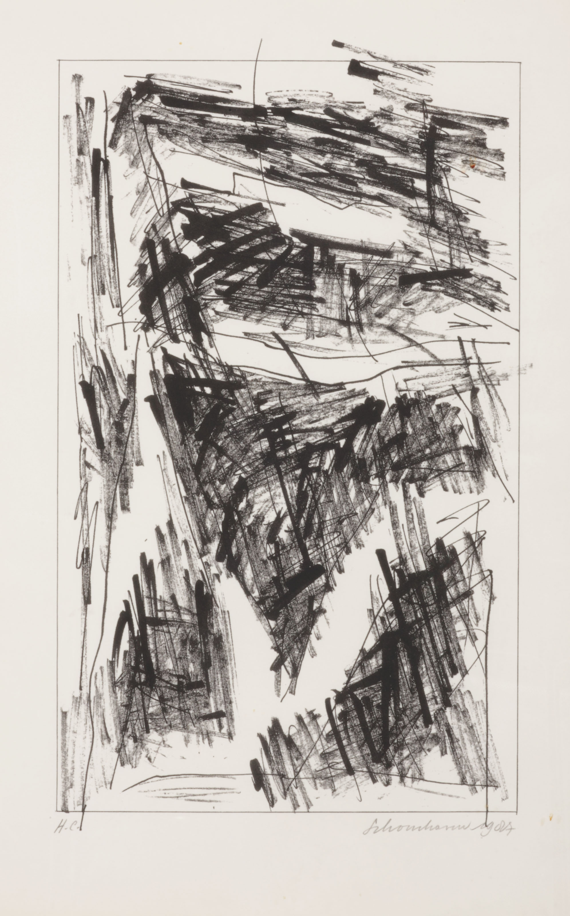 Jan Schoonhoven — Формирование, изображение 8