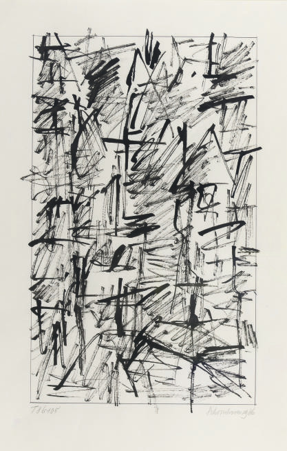 Jan Schoonhoven — Т86-105