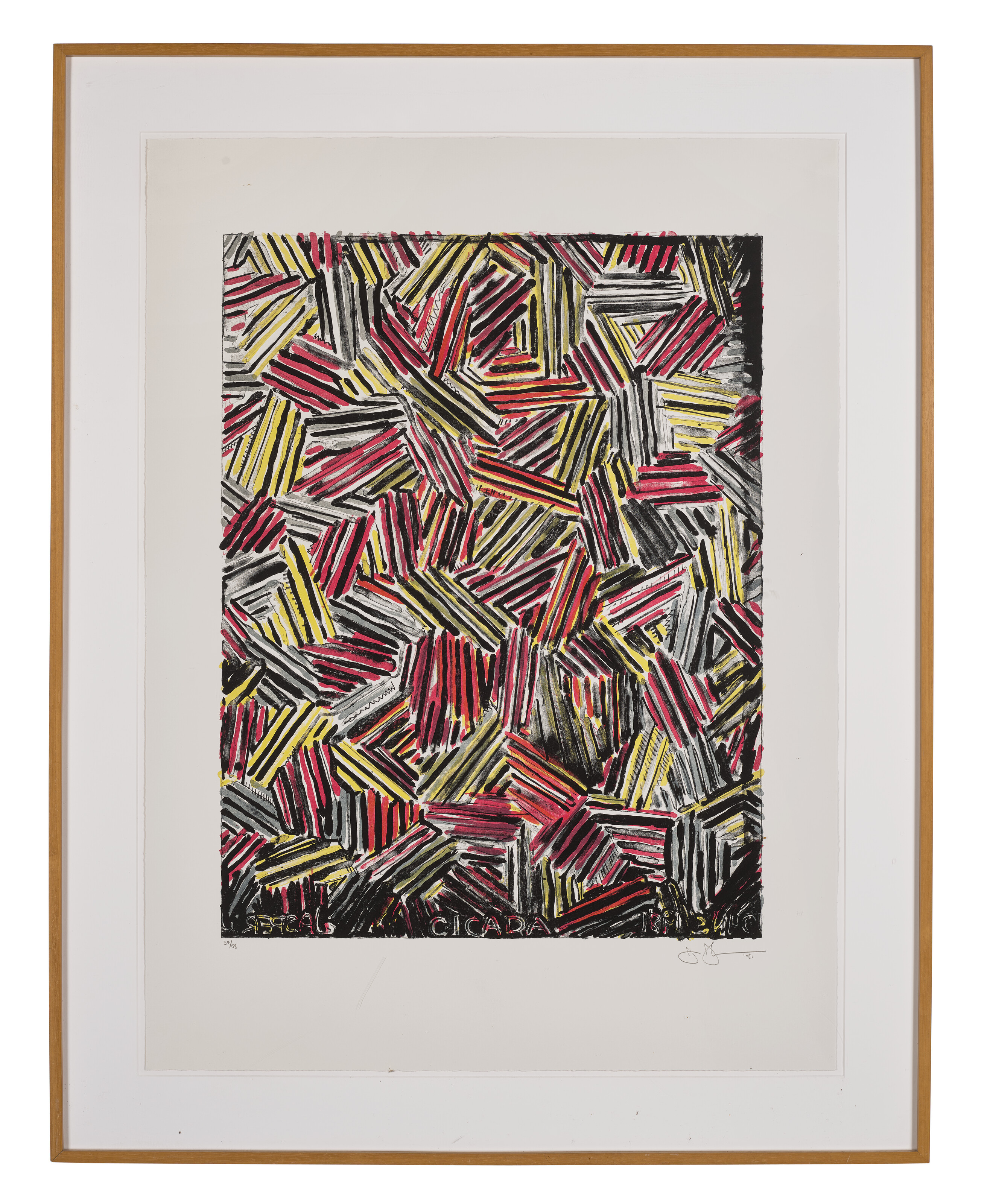 Jasper Johns — Цикада, изображение 2