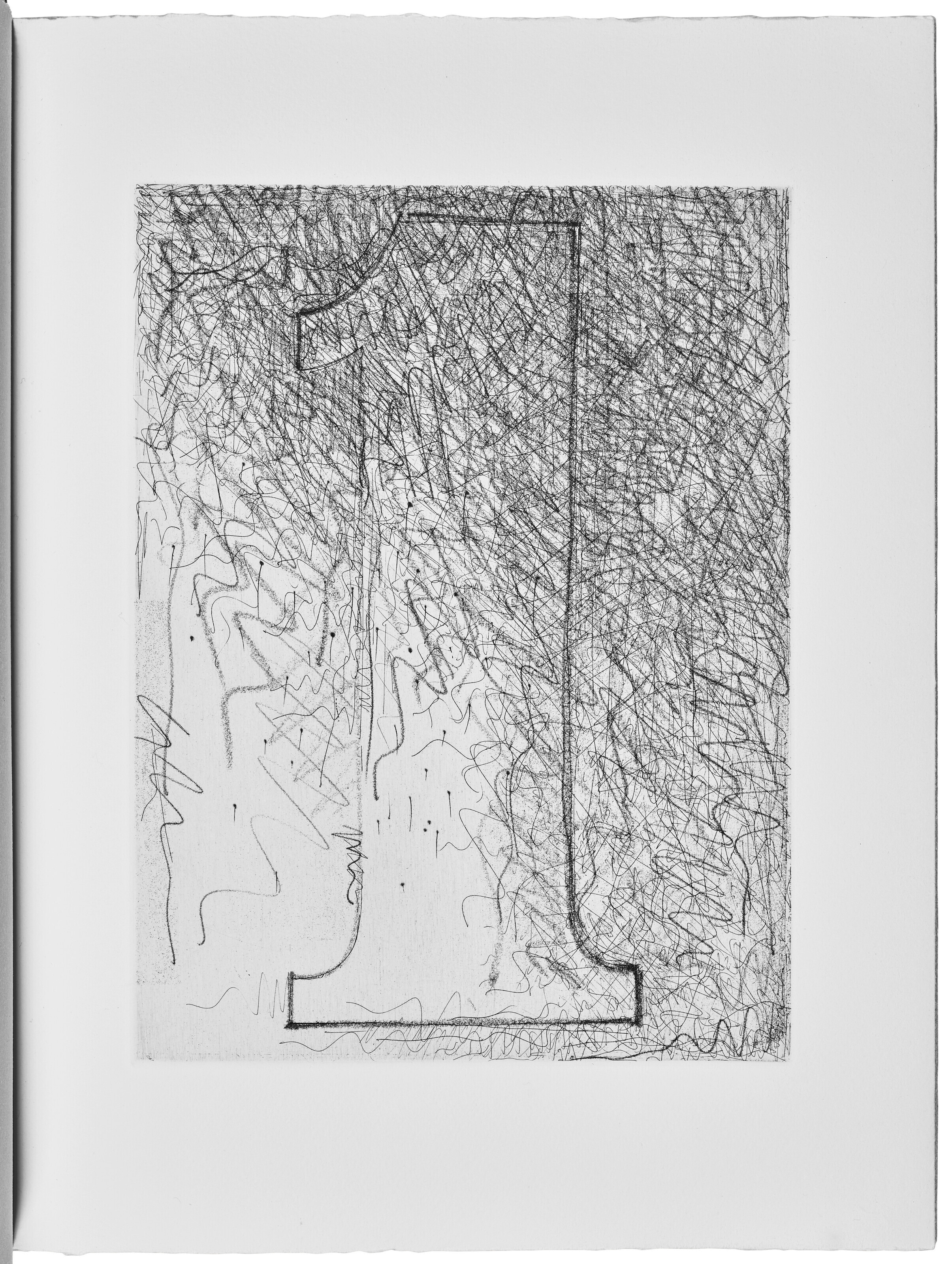 Jasper Johns — Шипучки (Фойрады), изображение 2