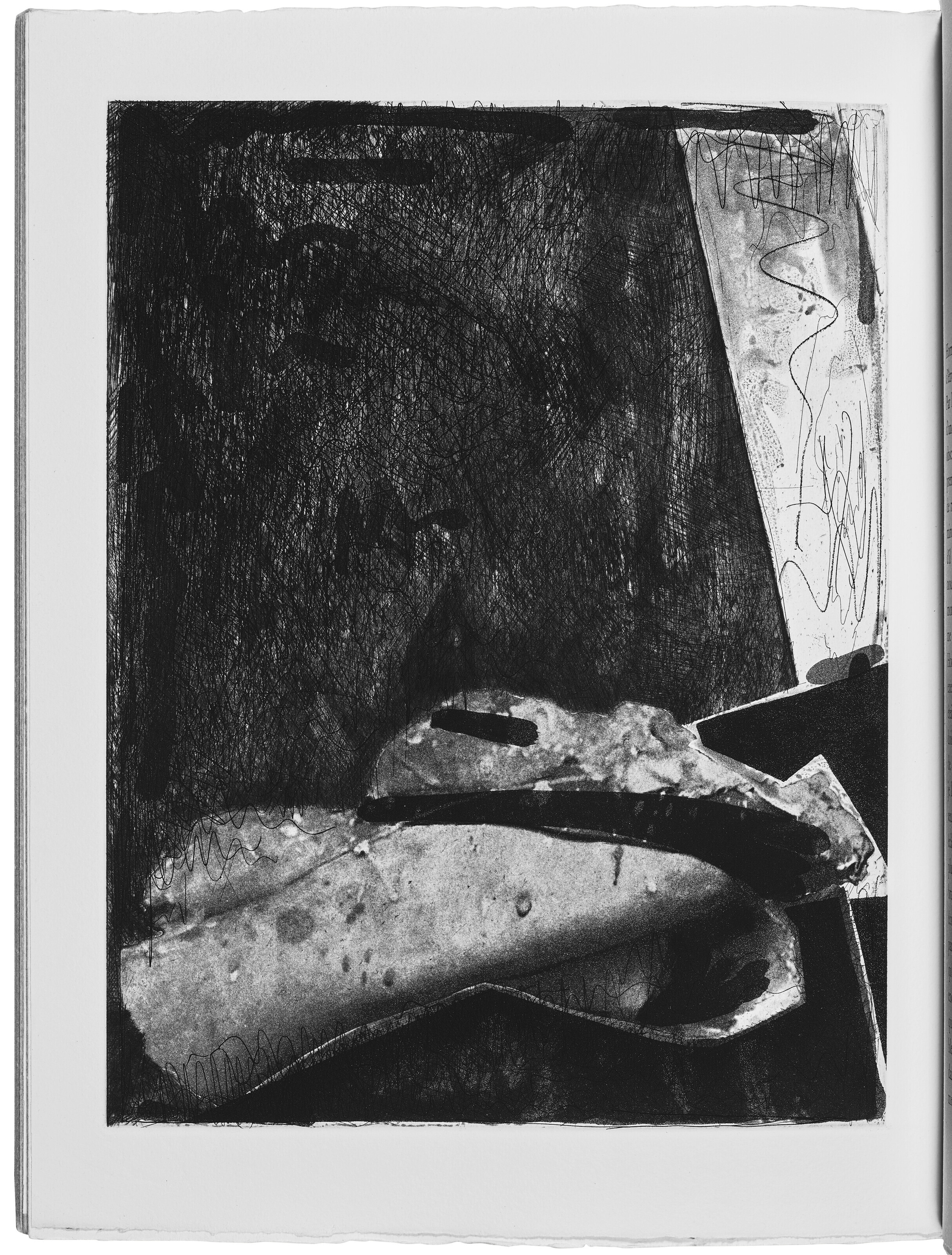 Jasper Johns — Шипучки (Фойрады), изображение 11