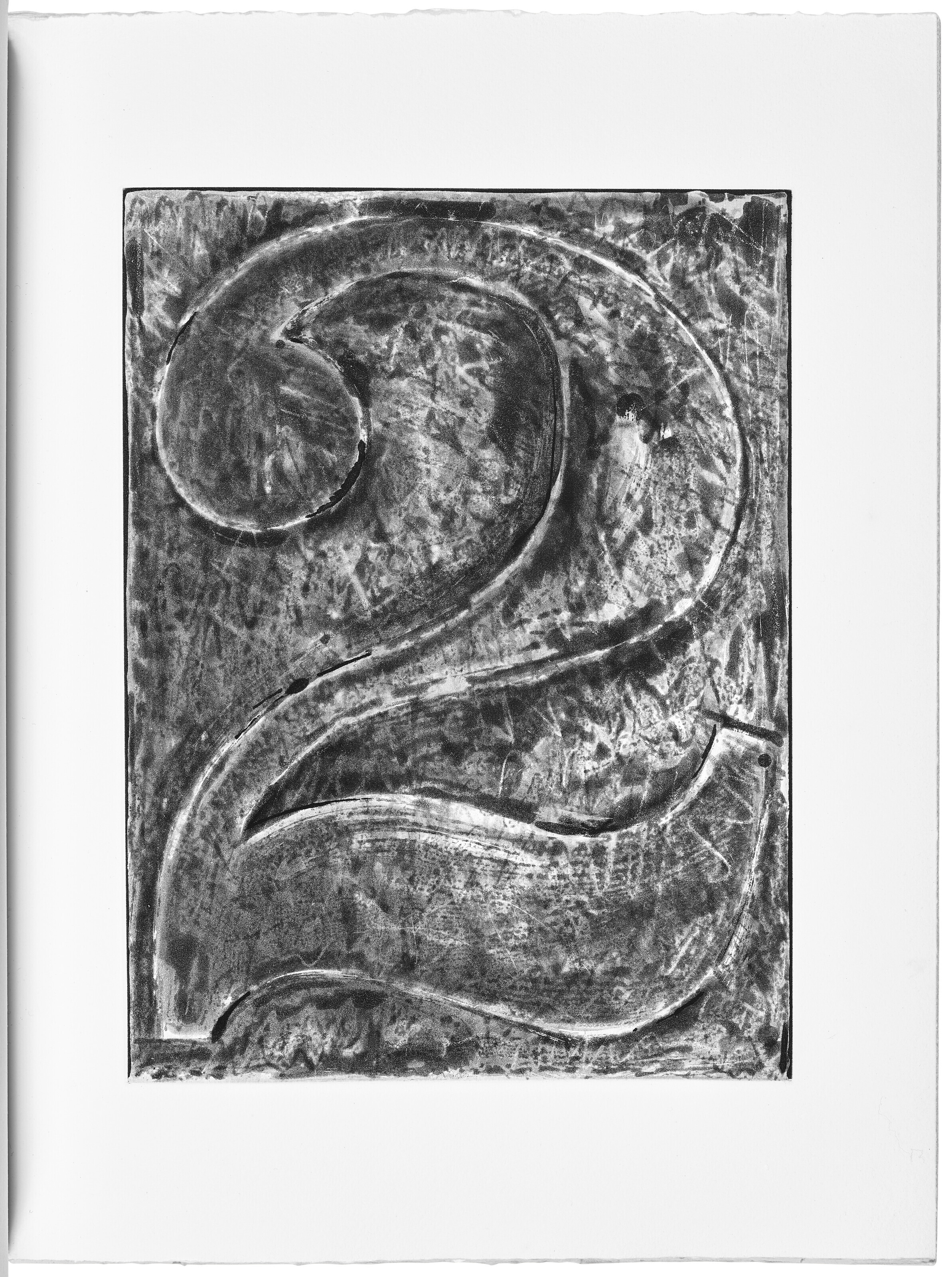 Jasper Johns — Шипучки (Фойрады), изображение 3
