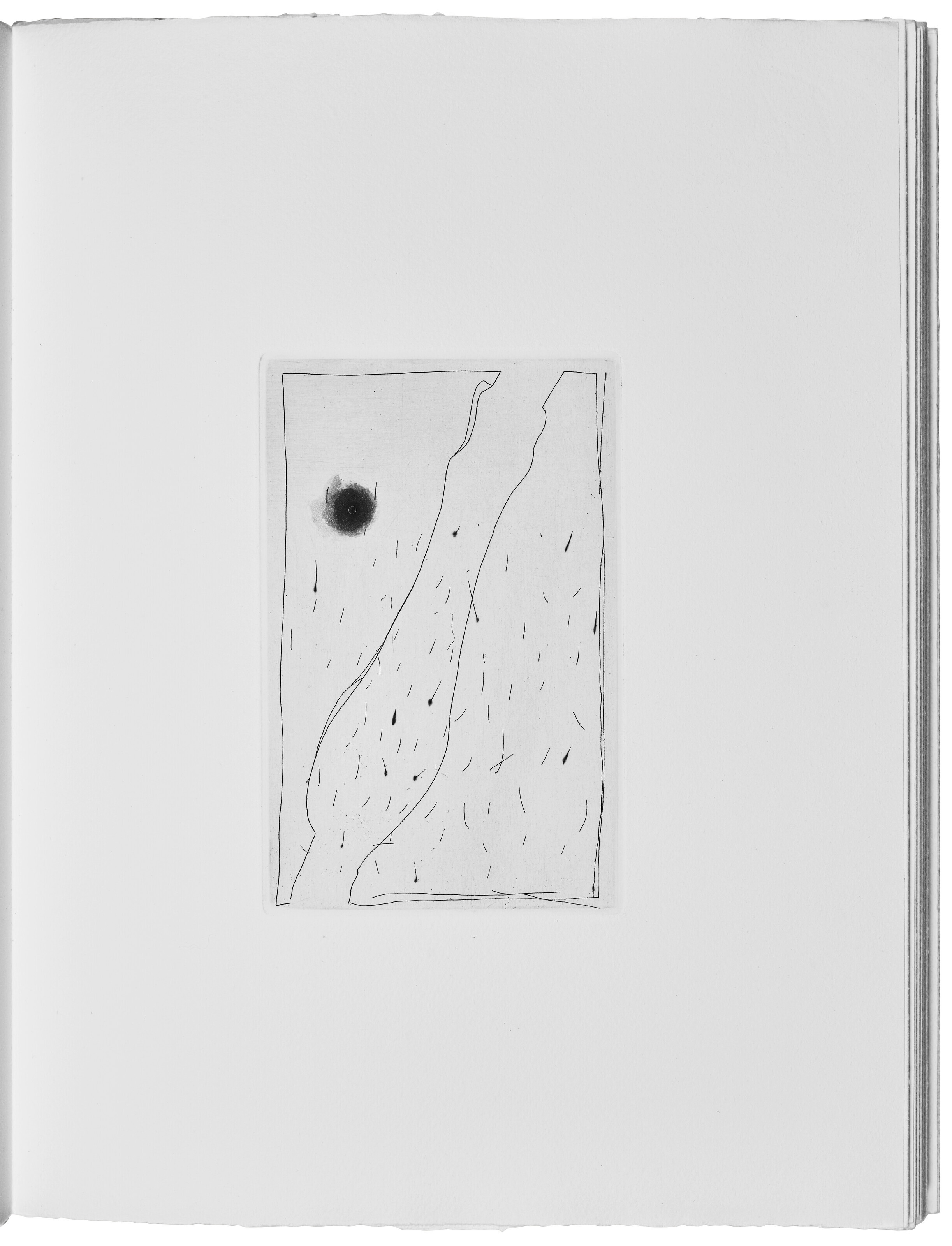 Jasper Johns — Шипучки (Фойрады), изображение 4