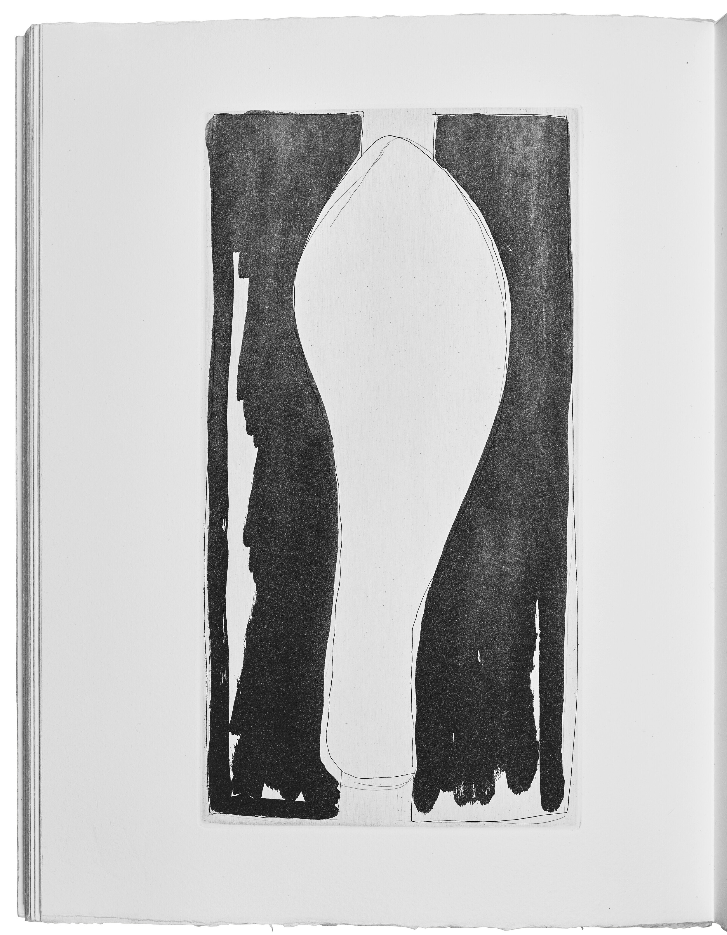 Jasper Johns — Шипучки (Фойрады), изображение 5