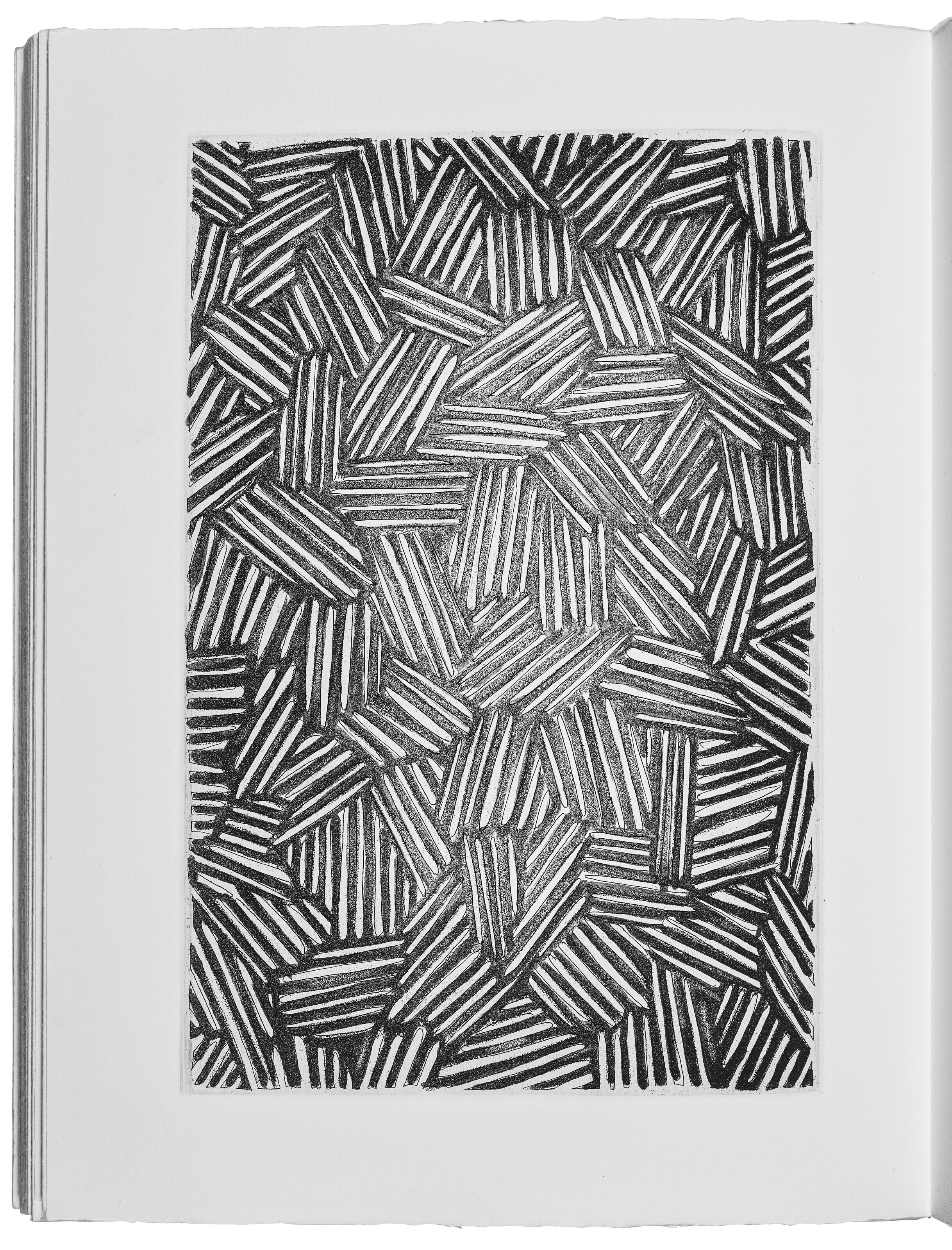 Jasper Johns — Шипучки (Фойрады), изображение 6