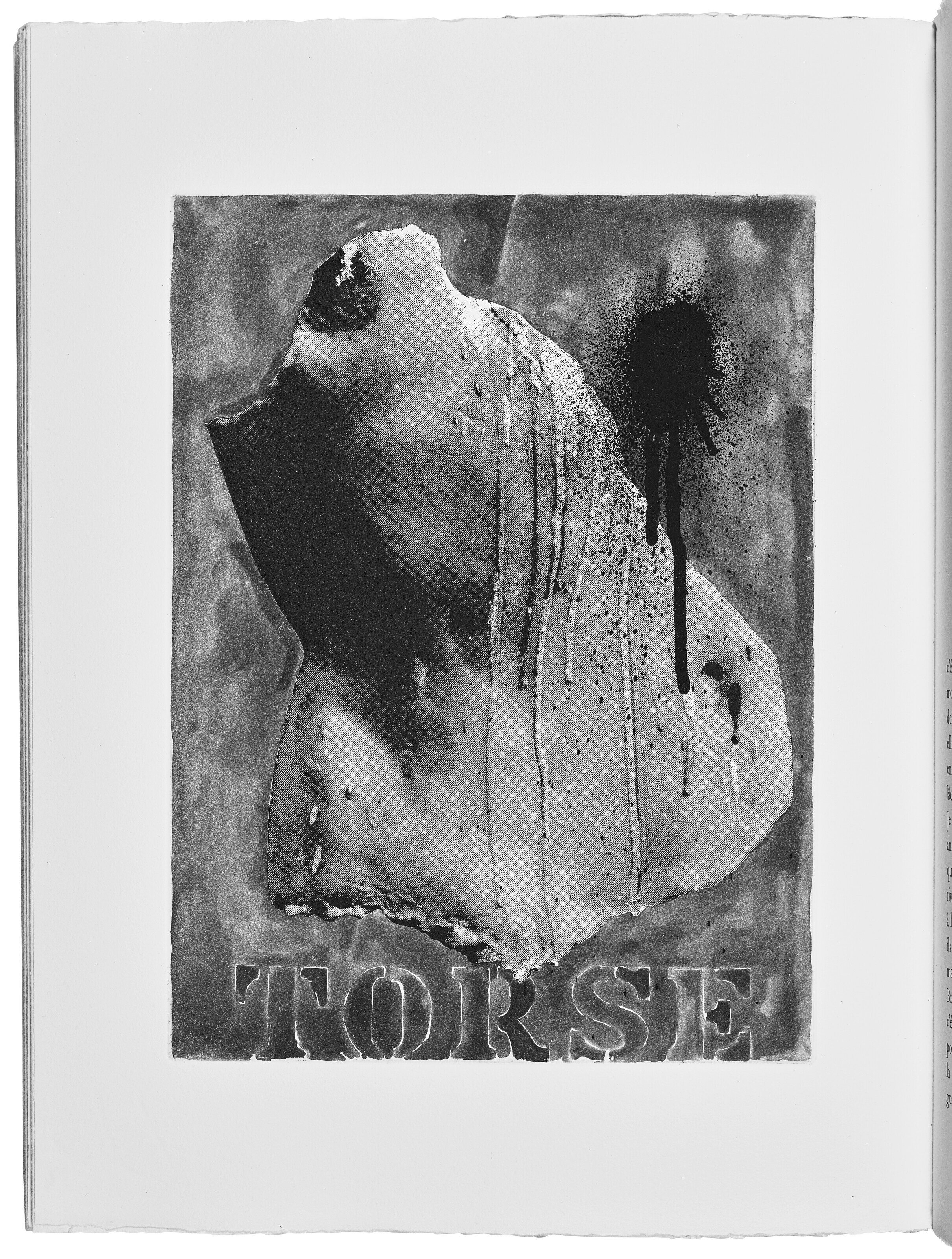Jasper Johns — Шипучки (Фойрады), изображение 7