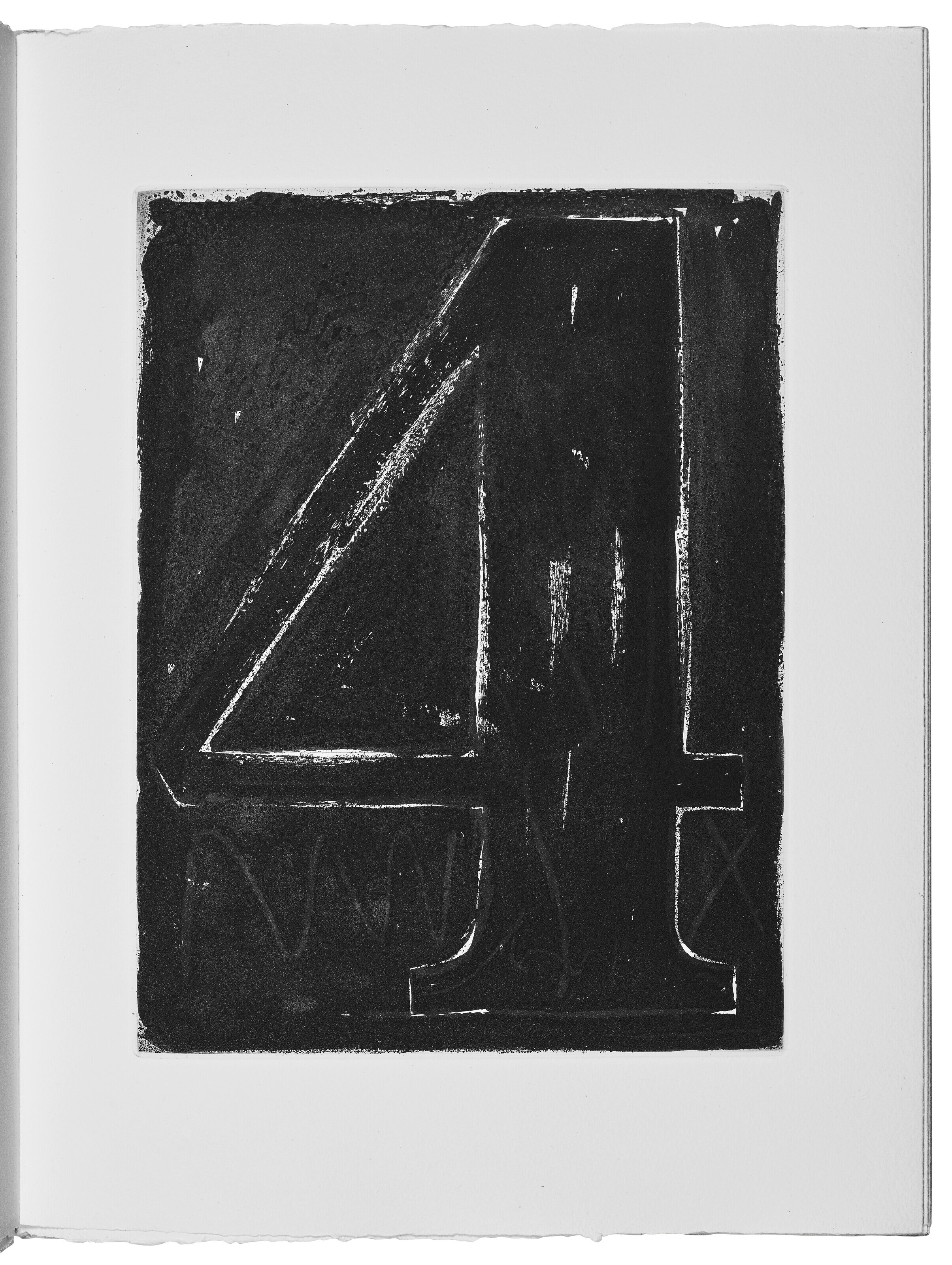 Jasper Johns — Шипучки (Фойрады), изображение 8
