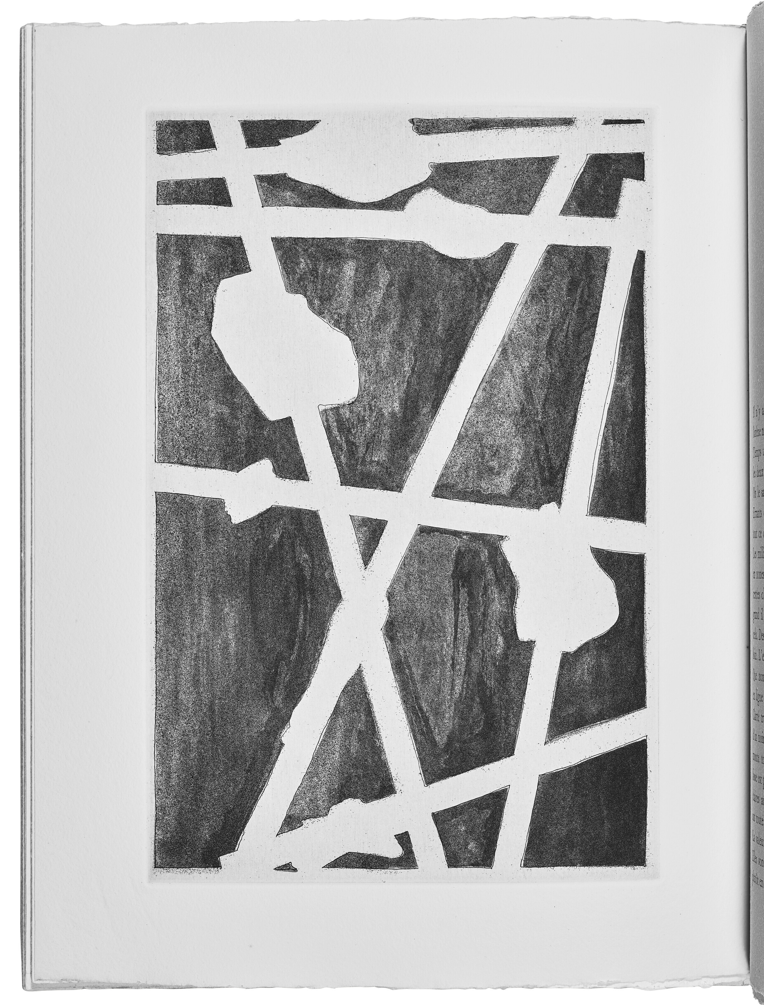 Jasper Johns — Шипучки (Фойрады), изображение 9