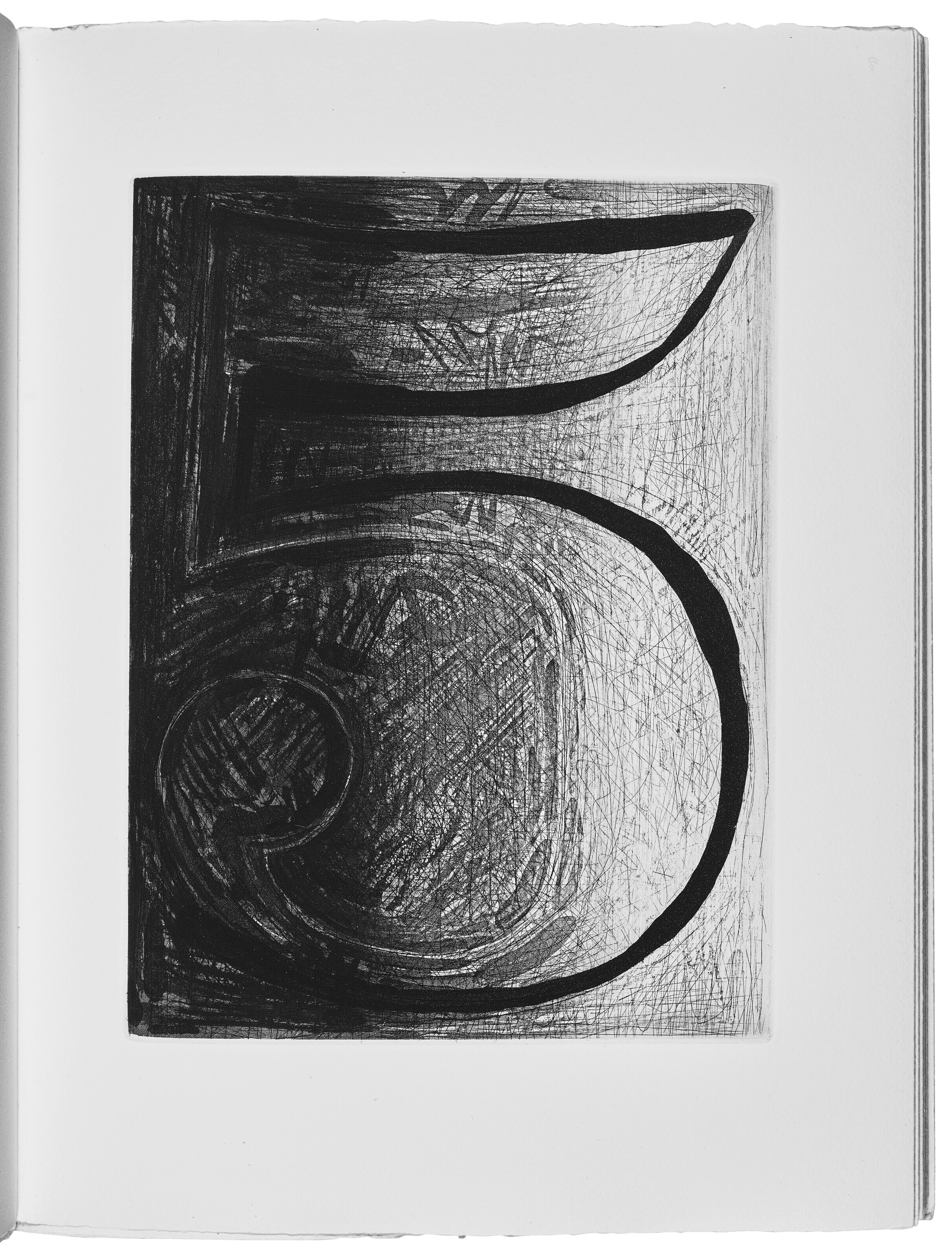 Jasper Johns — Шипучки (Фойрады), изображение 10