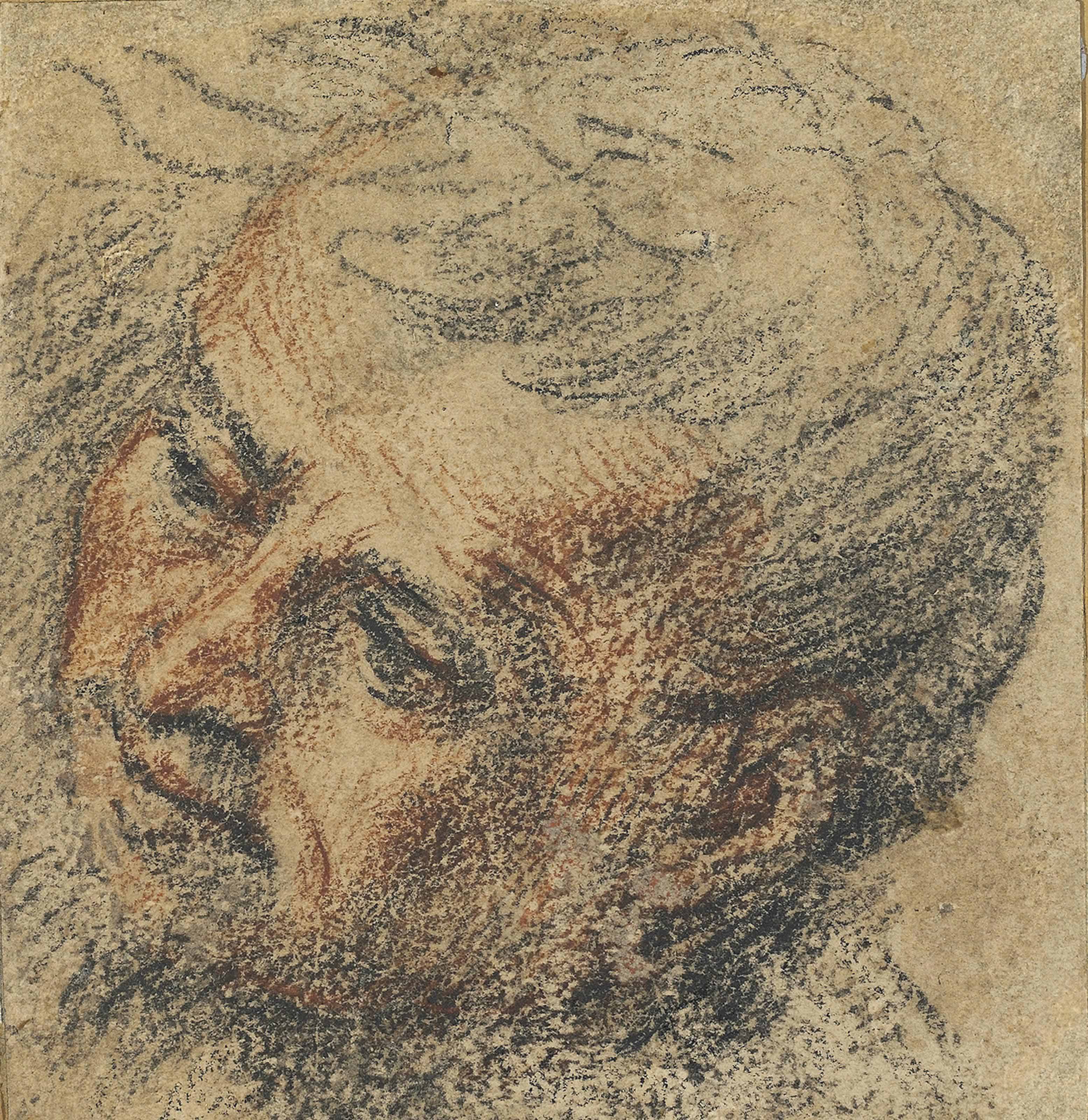 Jean Antoine Watteau — Голова мужчины с развевающимися на ветру волосами