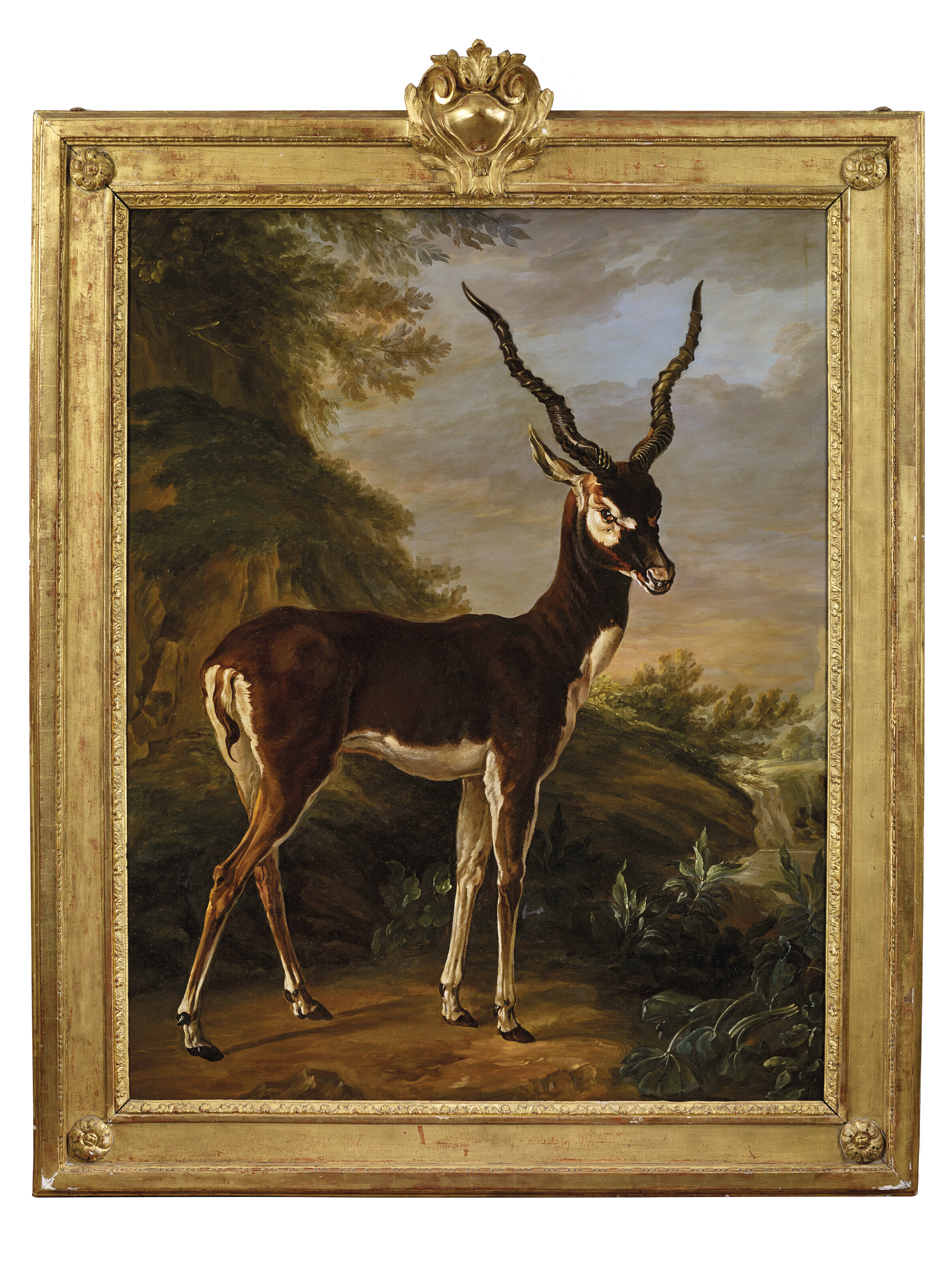 Jean Baptiste Oudry — Газель д'Апре Жан-Батист Удри, изображение 2