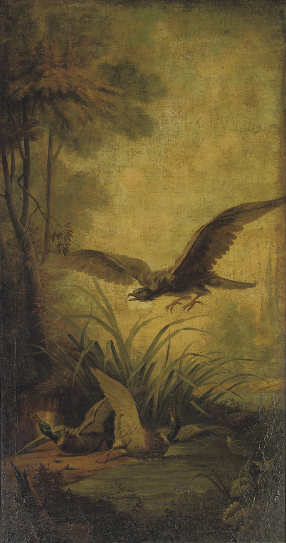 Jean Baptiste Oudry — Морской орел и две дикие утки на фоне пейзажа