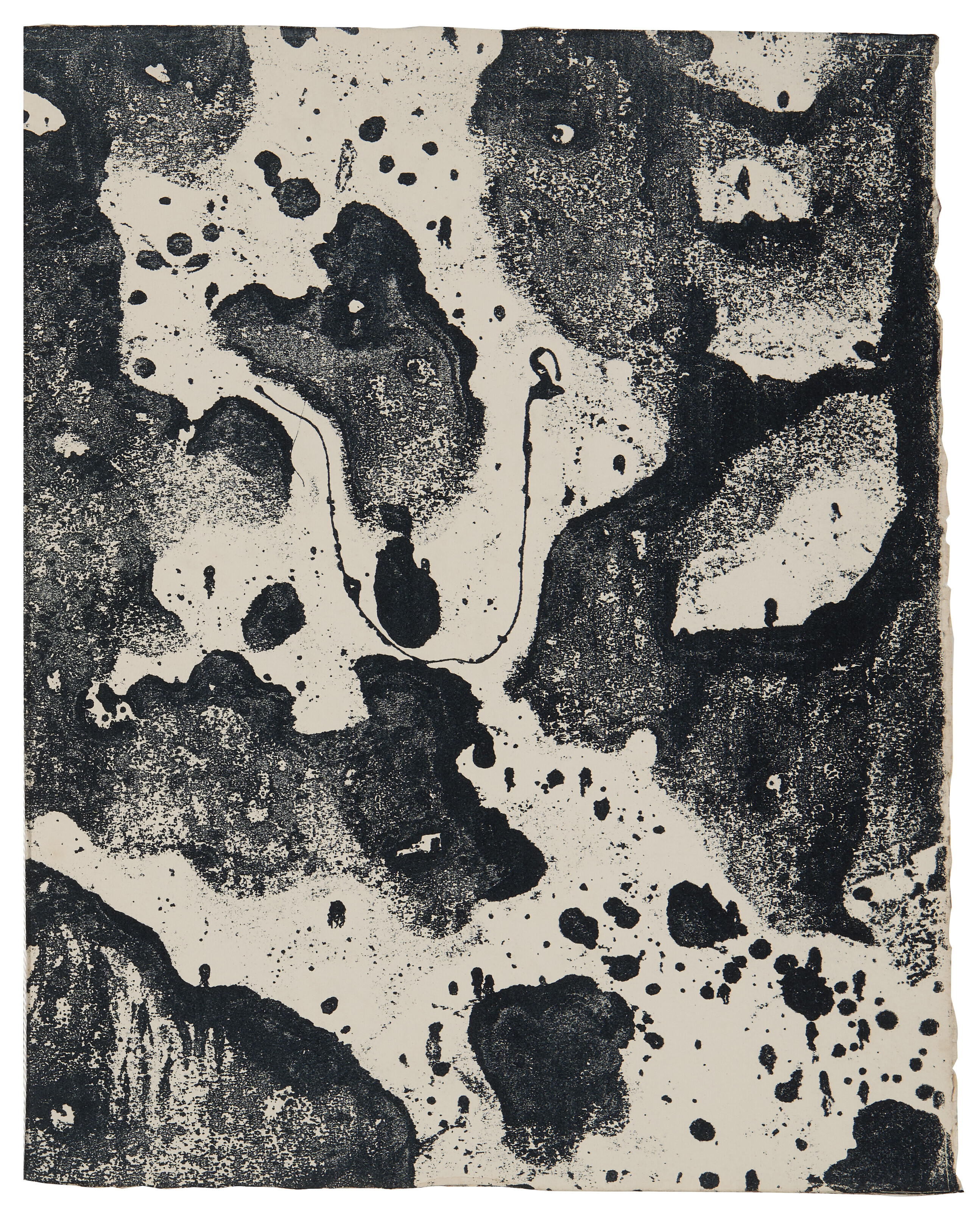 Jean Dubuffet — Андре Мартель, "Мир природы", изображение 5