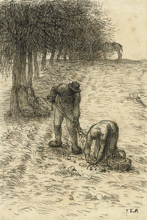 Jean Francois Millet — Крестьяне копают картошку, за ними виден осел.