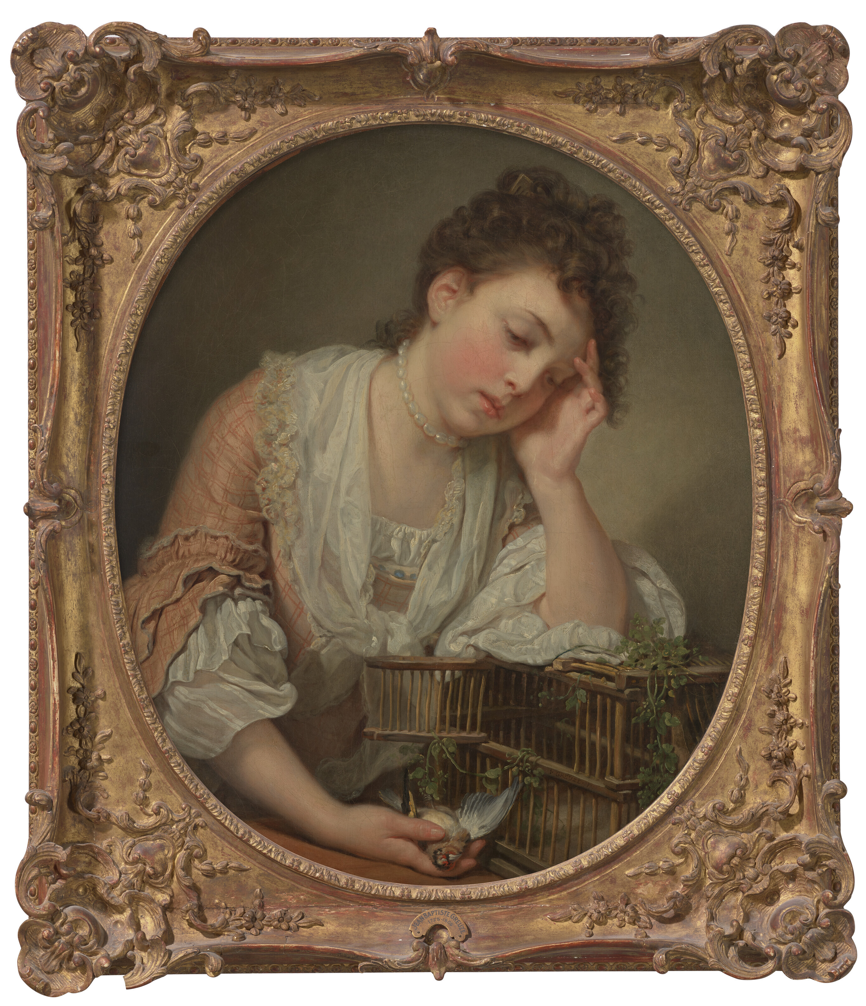 Jean-Baptiste Greuze — Юная девушка, которая плачет о смерти сына Изоау (Девушка, плачущая над своей мертвой птицей), изображение 2