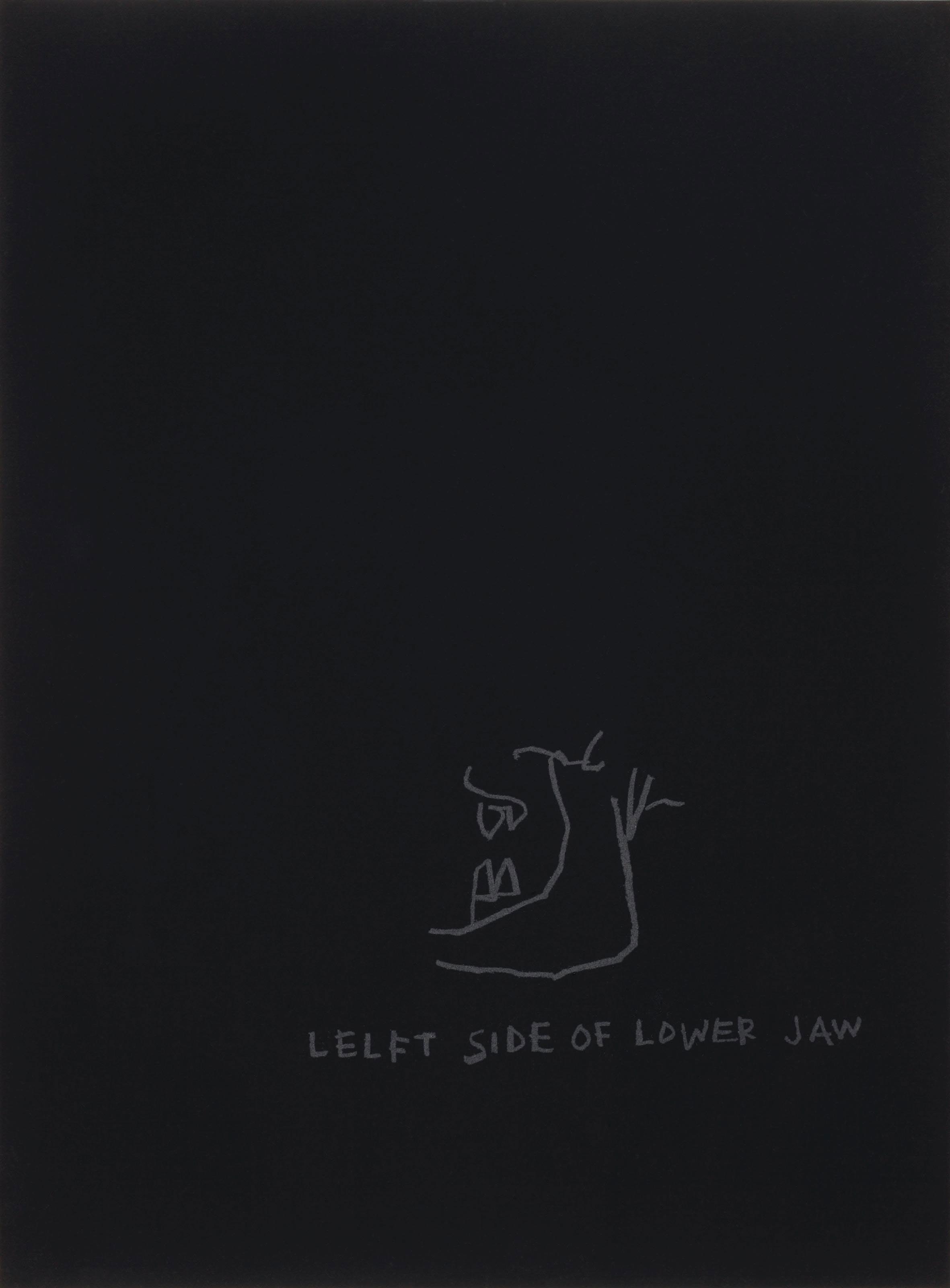 Jean-Michel Basquiat — Левая сторона нижней челюсти, из анатомии