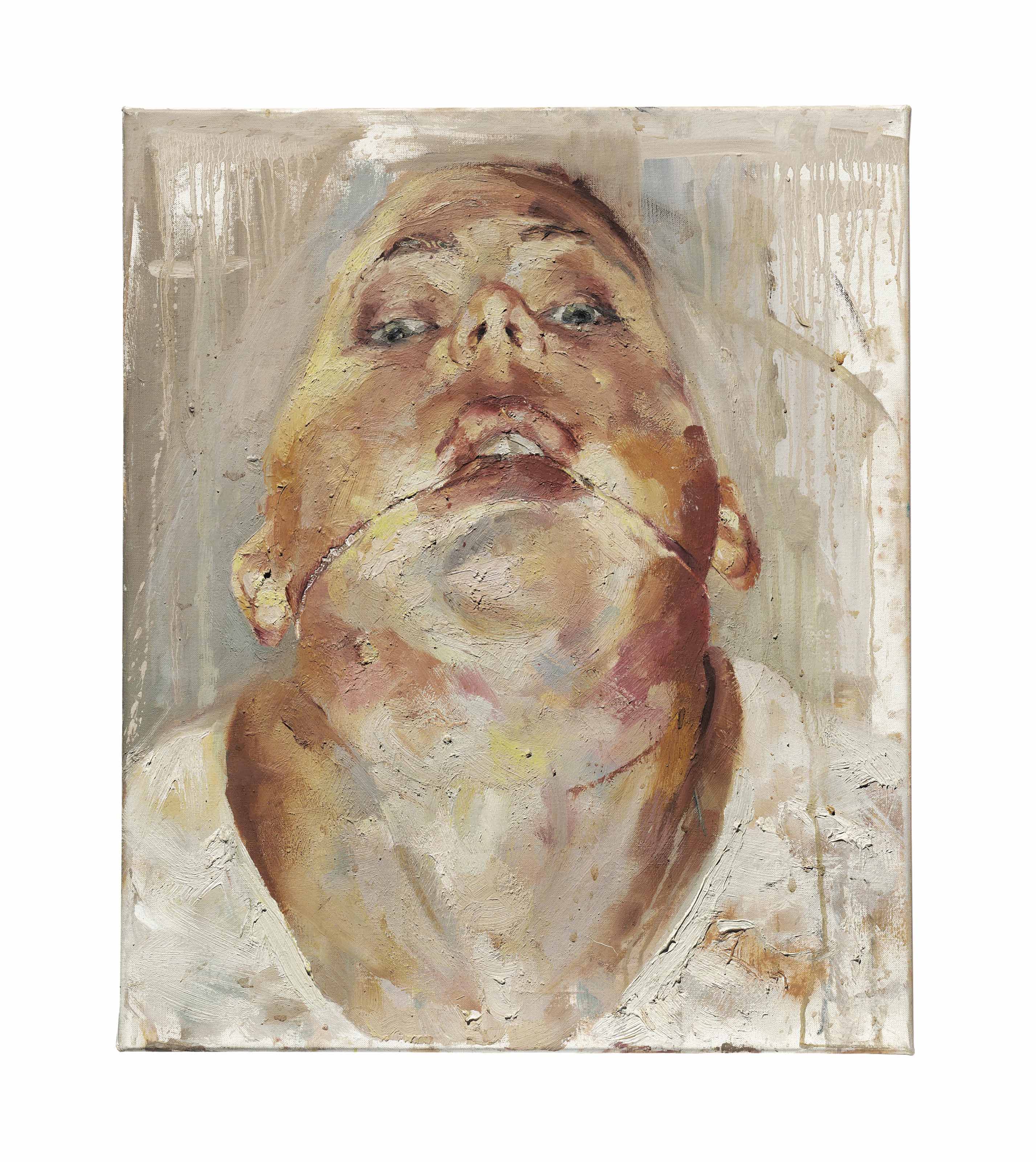 Jenny Saville — Заклейменный