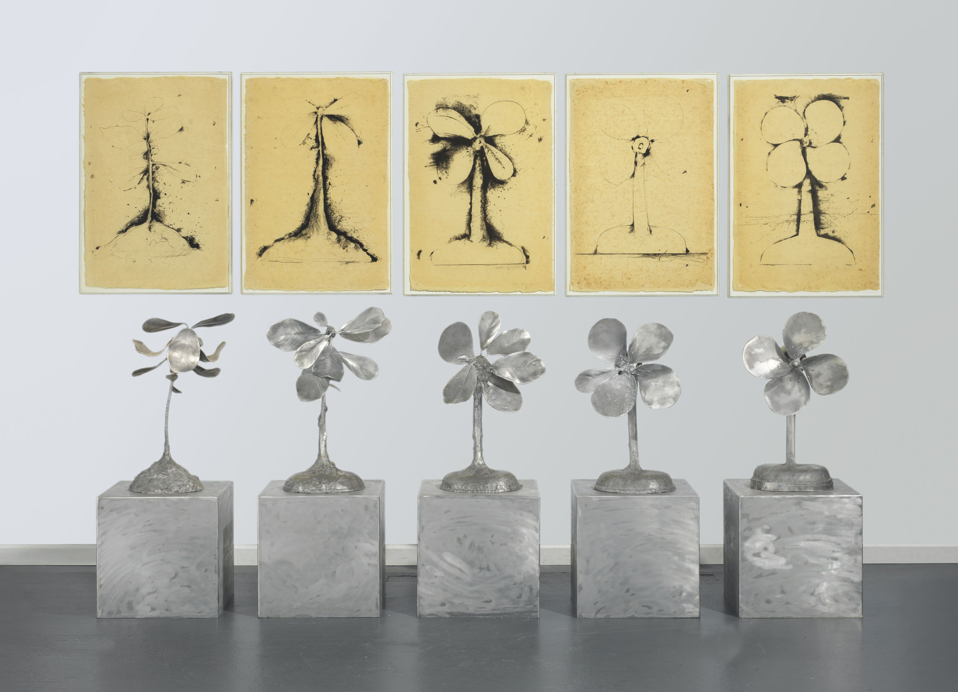 Jim Dine — Превращение растения в веер
