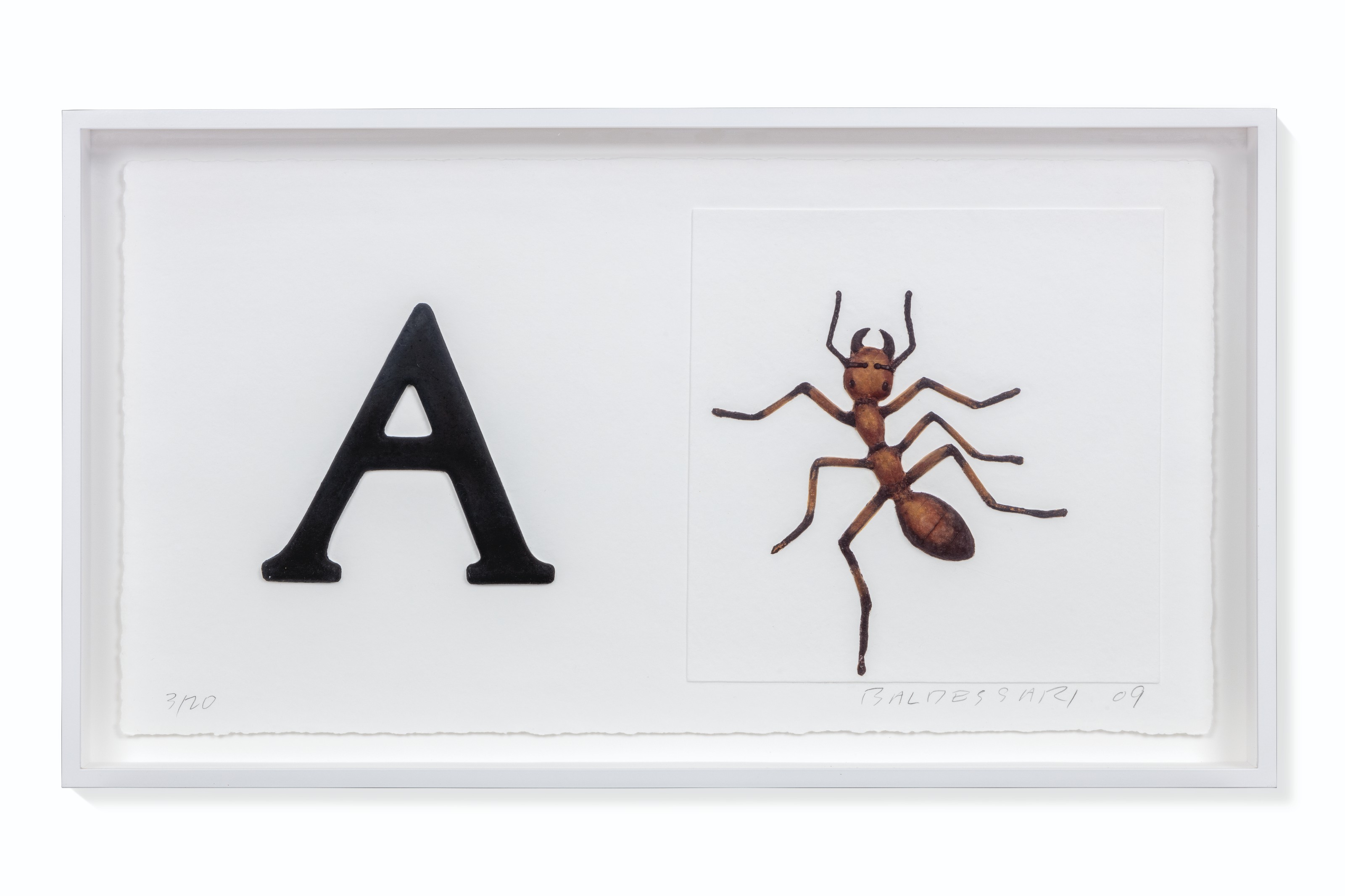 John Baldessari — Алфавитный указатель (Низкий рельеф): A/Ant и Т.д. (Клавиатура), изображение 12