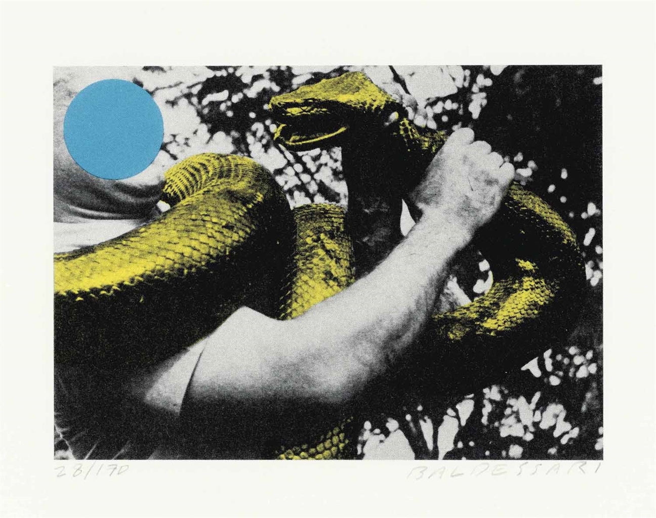 John Baldessari — Человек со змеей (синий и желтый)