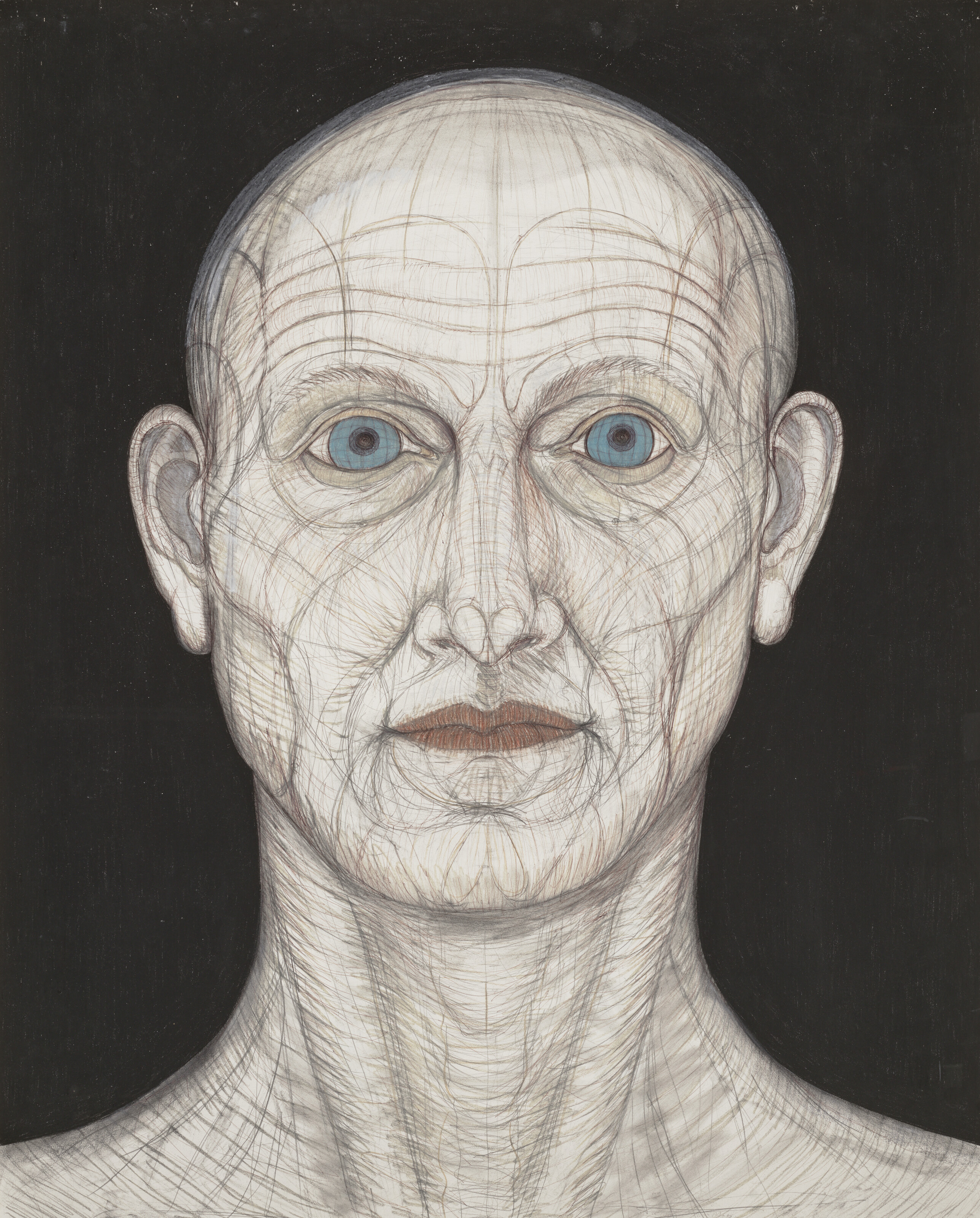 John Davies — Рисунок Джей Ди.