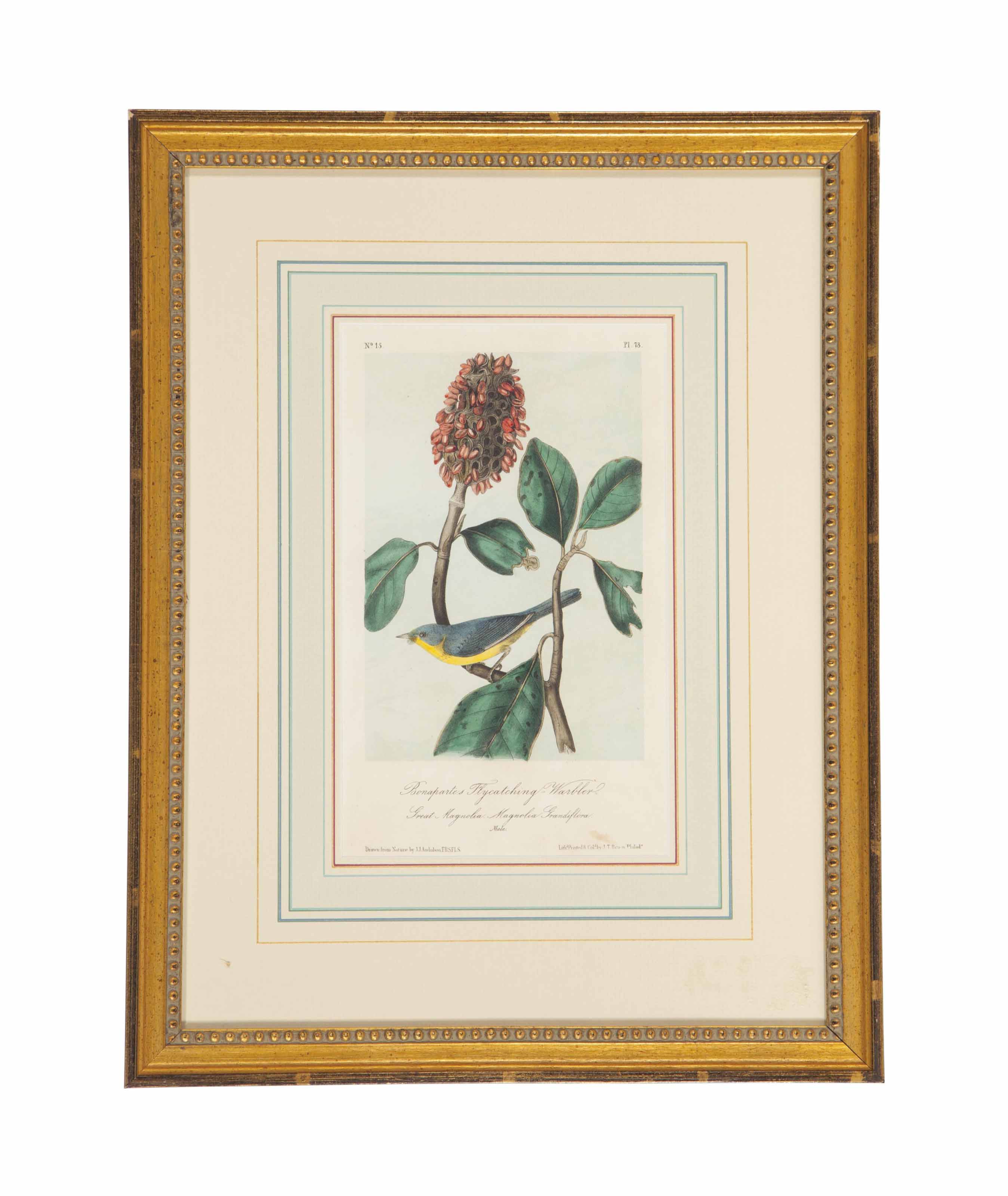 John James Audubon — ПО МОТИВАМ ДЖОНА ДЖЕЙМСА ОДЮБОНА, АВТОР ДЖОН Т. БОУЭН