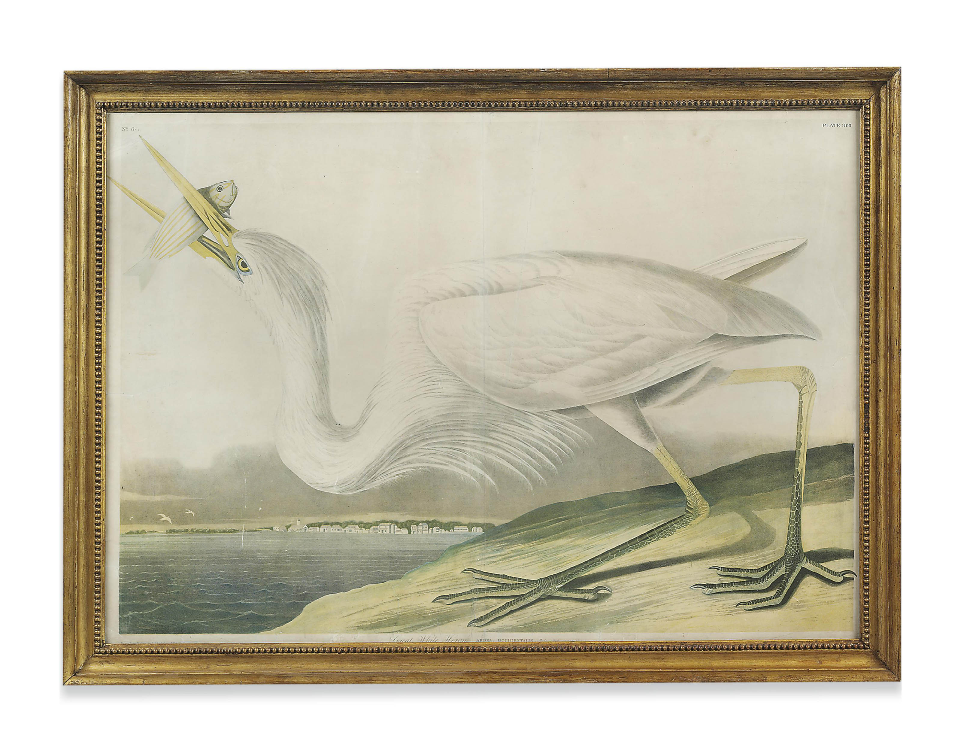 John James Audubon — Большая белая цапля