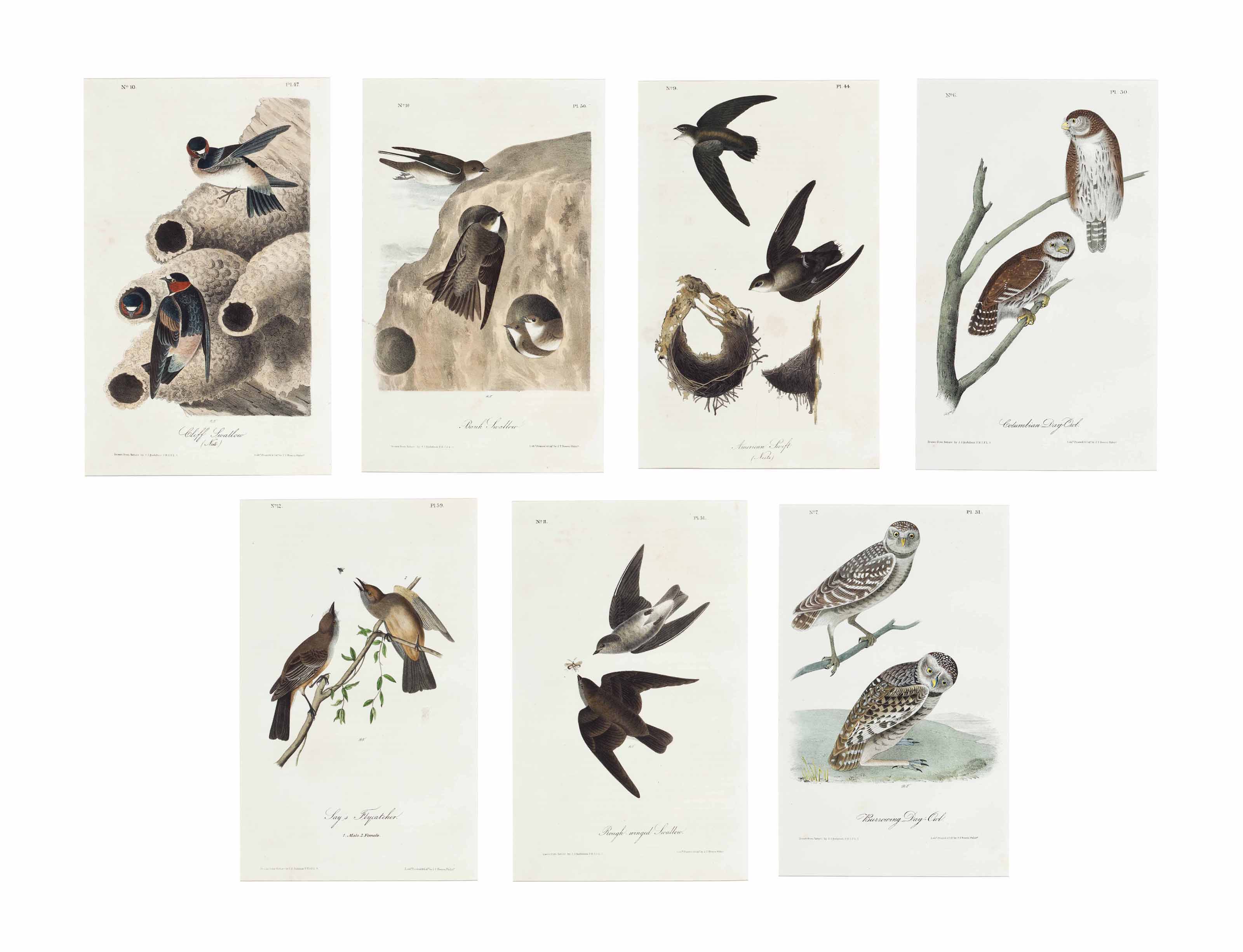 John James Audubon — [Птицы Америки]: Семь тарелок