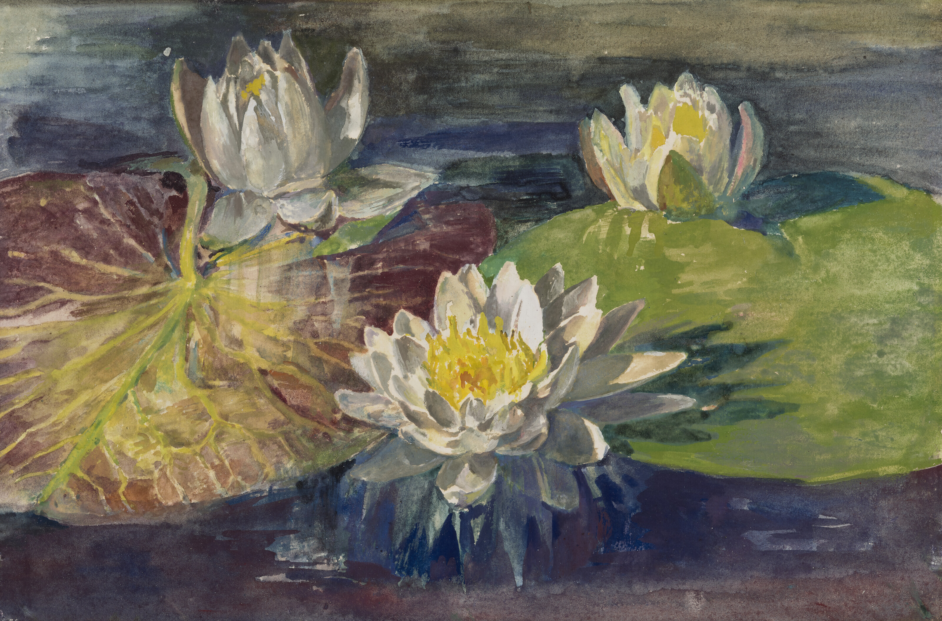 John La Farge — Кувшинки. Красные и зеленые листочки. Позируем с натуры