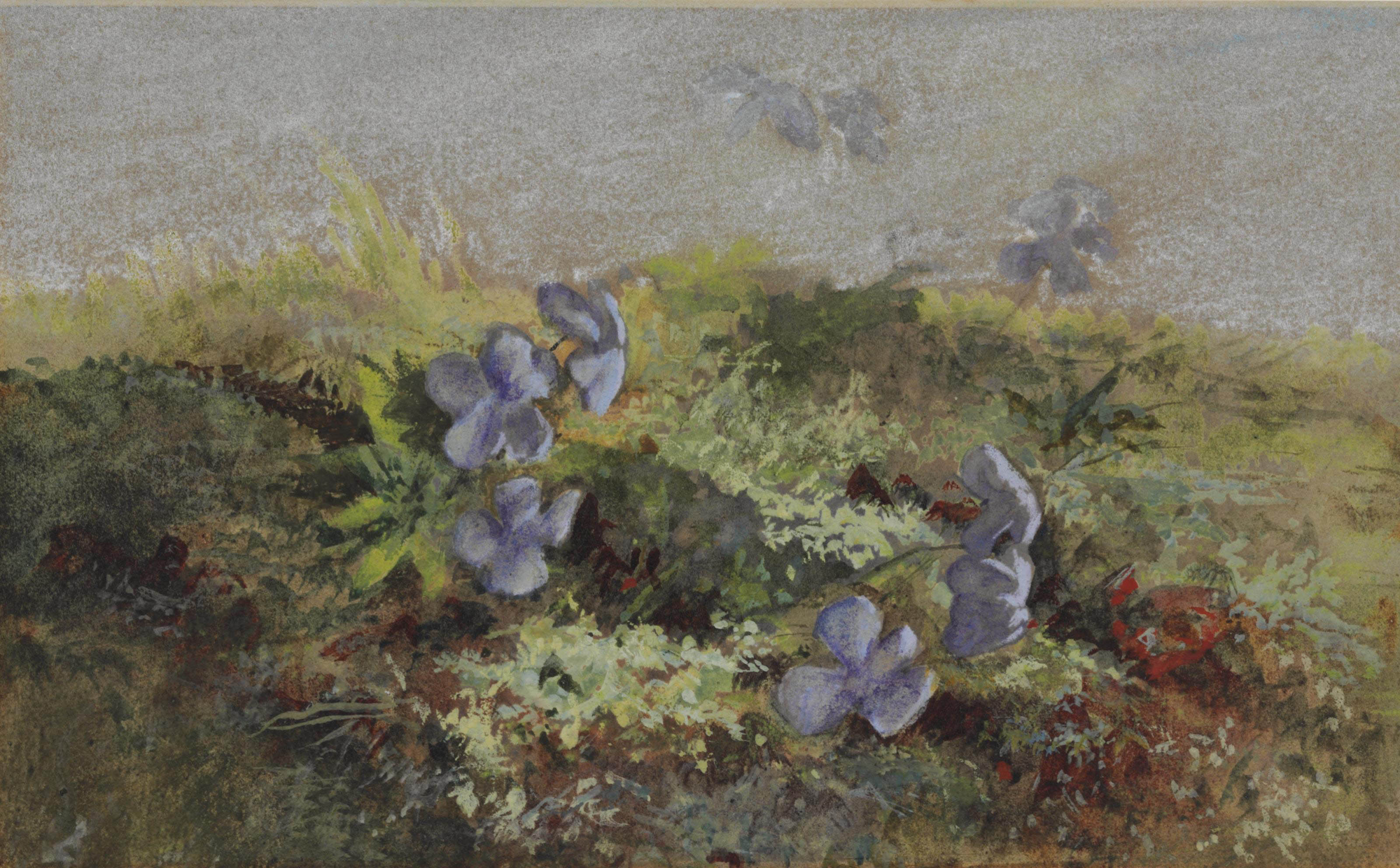 John La Farge — Фиалки в пейзаже